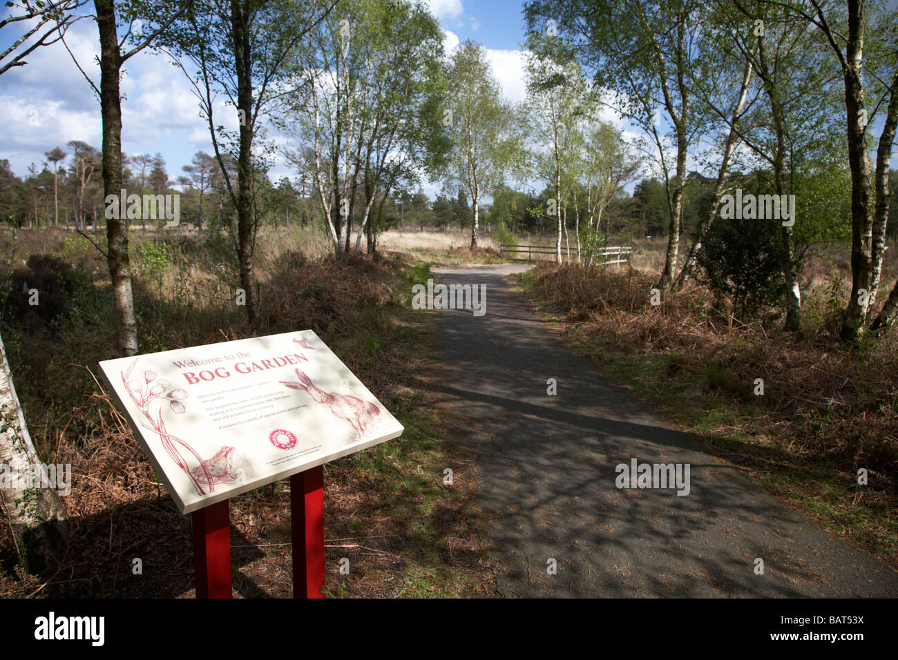 dem Moor Garten Torfland Bildungsraum an Mooren Land Park County Tyrone Nordirland Vereinigtes Königreich Stockfoto