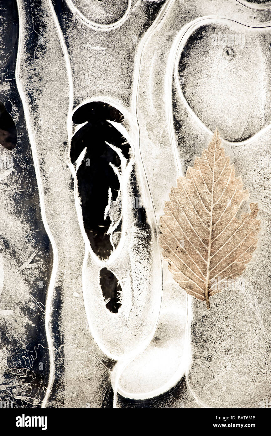 Auszüge aus einem lokalen gefrorenen Stream Eis Stockfoto