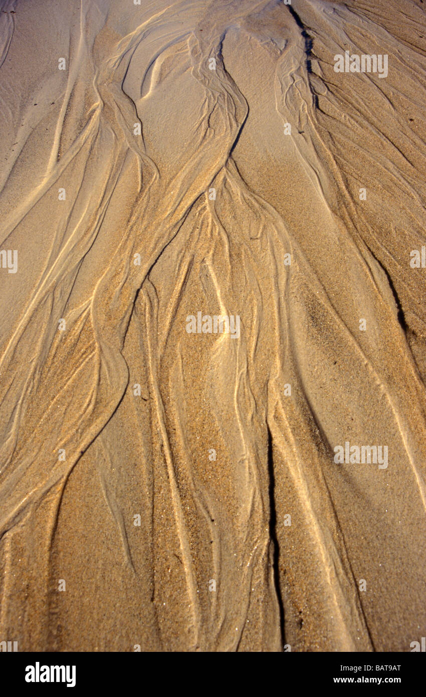 Geomorphologie Sand Muster Entwässerung Küstenlinie Mikroskala fluvialer Naturprozess Strand Rinnsale Kaiteriteri Neuseeland Stockfoto