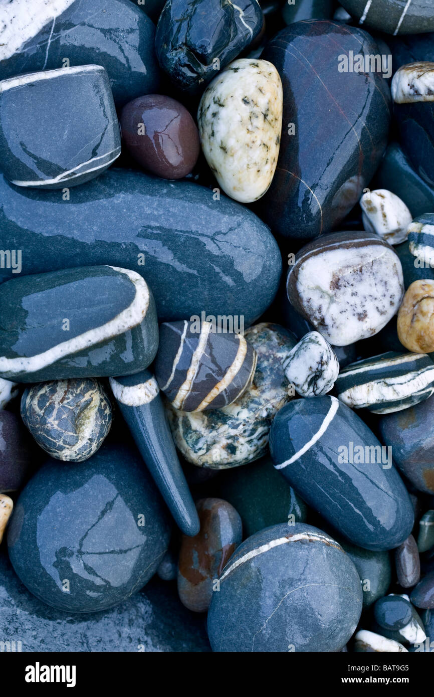 Nasse Kieselsteine Stockfoto