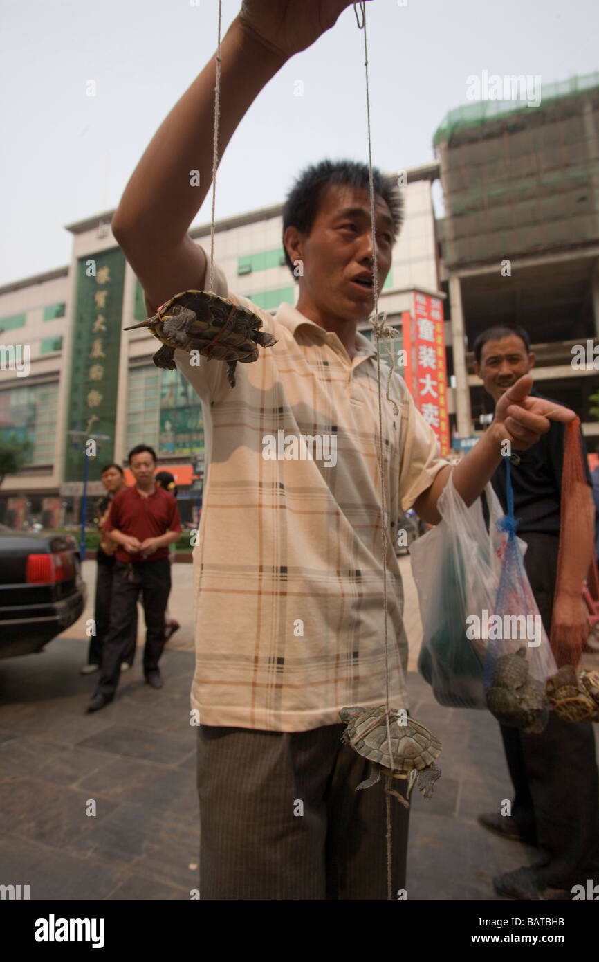 LISHI, CHINA - JUNI 2006: Ein Mann, der Schildkröten auf der Straße verkauft. Lishi liegt in der Provinz Shanxi, einer der am stärksten verschmutzten Provinzen Chinas. Stockfoto
