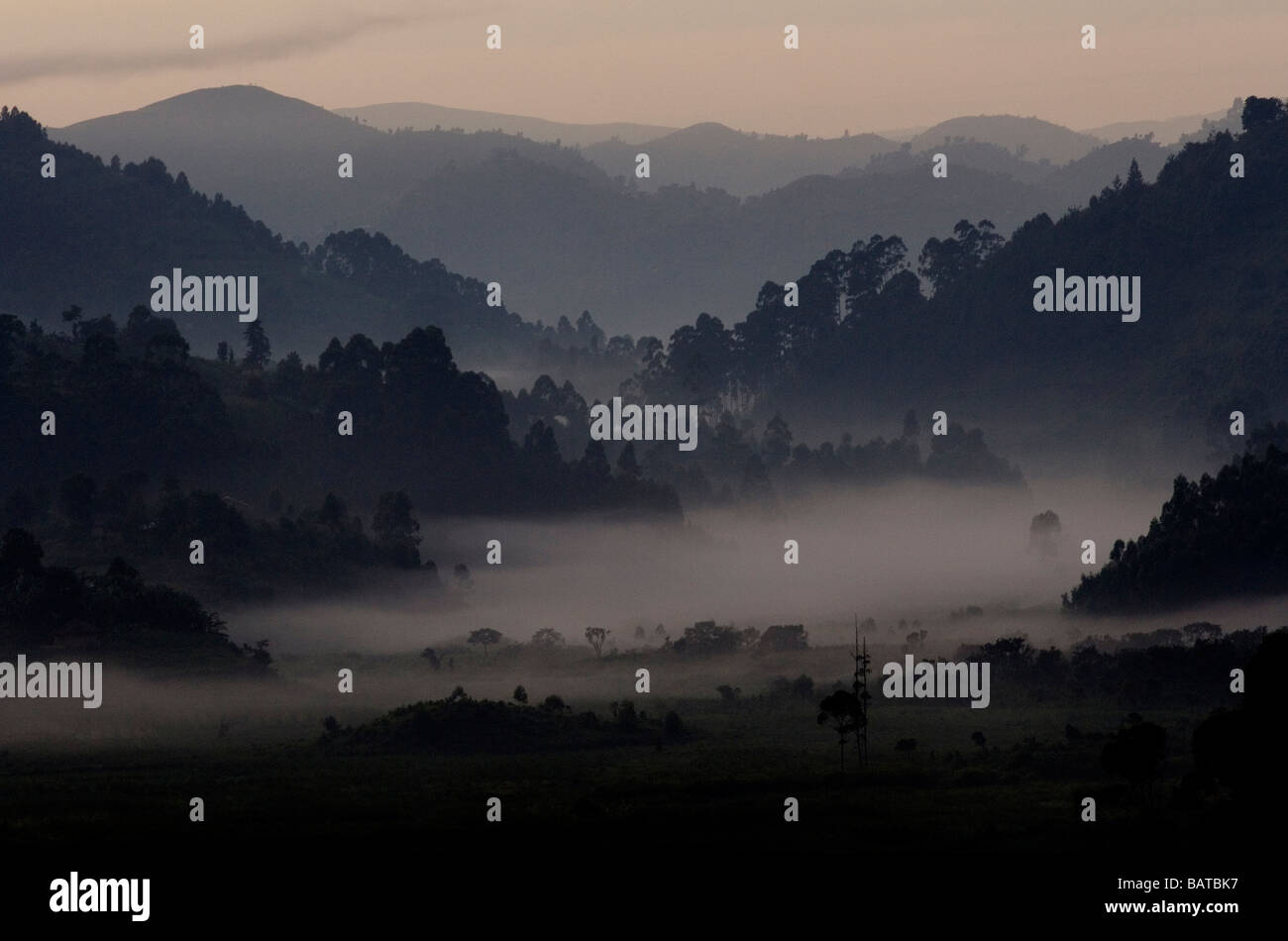 Am frühen Morgen Blick auf die Landschaft am Rande der Bwindi Inpenetrable Wald Stockfoto