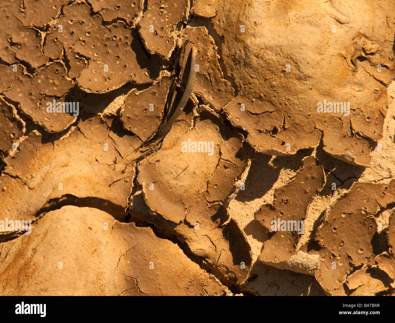 Boden Risse - Dürre - Extrem trockenes Wetter Stockfoto
