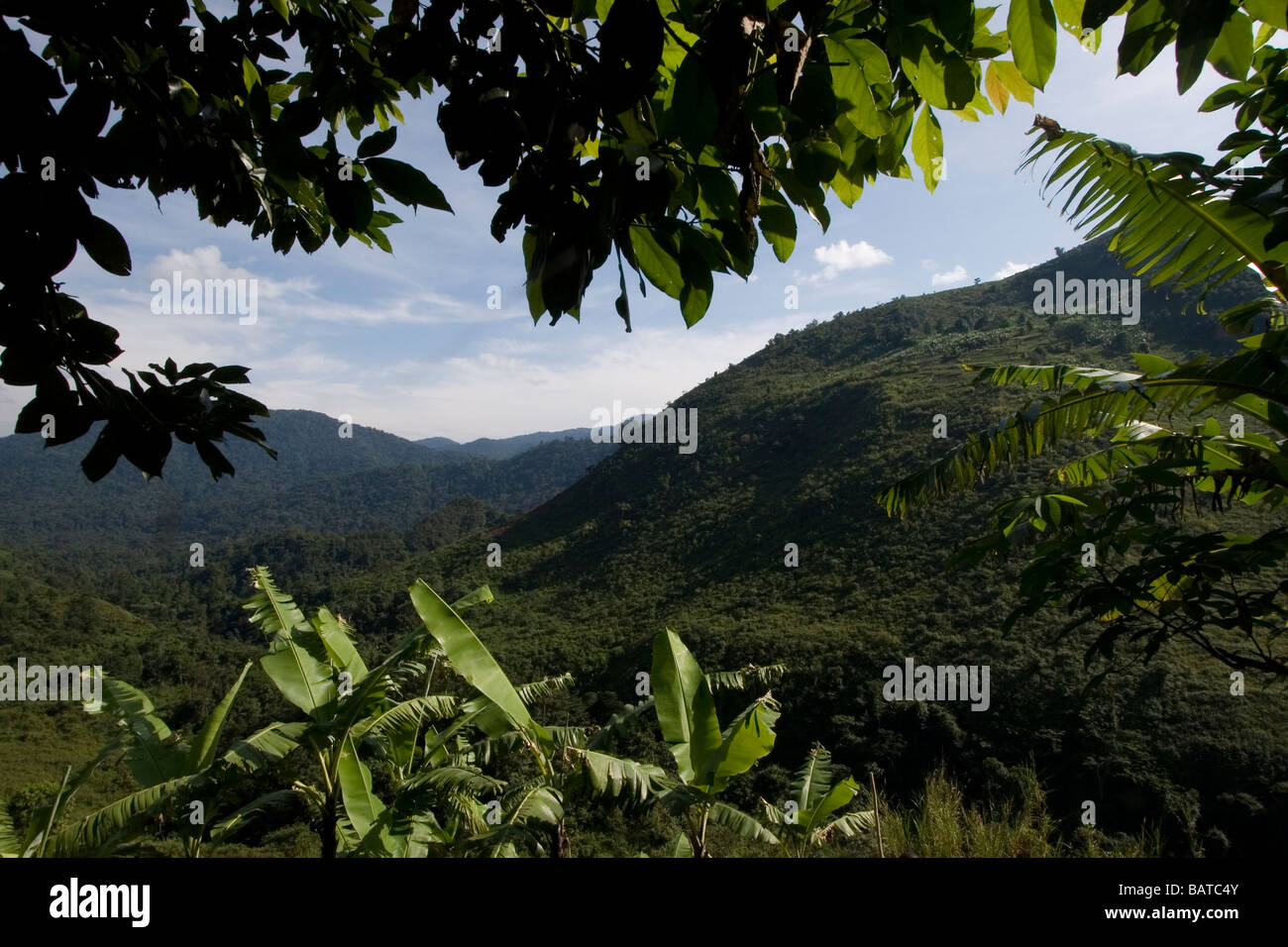 Ansicht des Bwindi Impentrable Forest National Park Stockfoto
