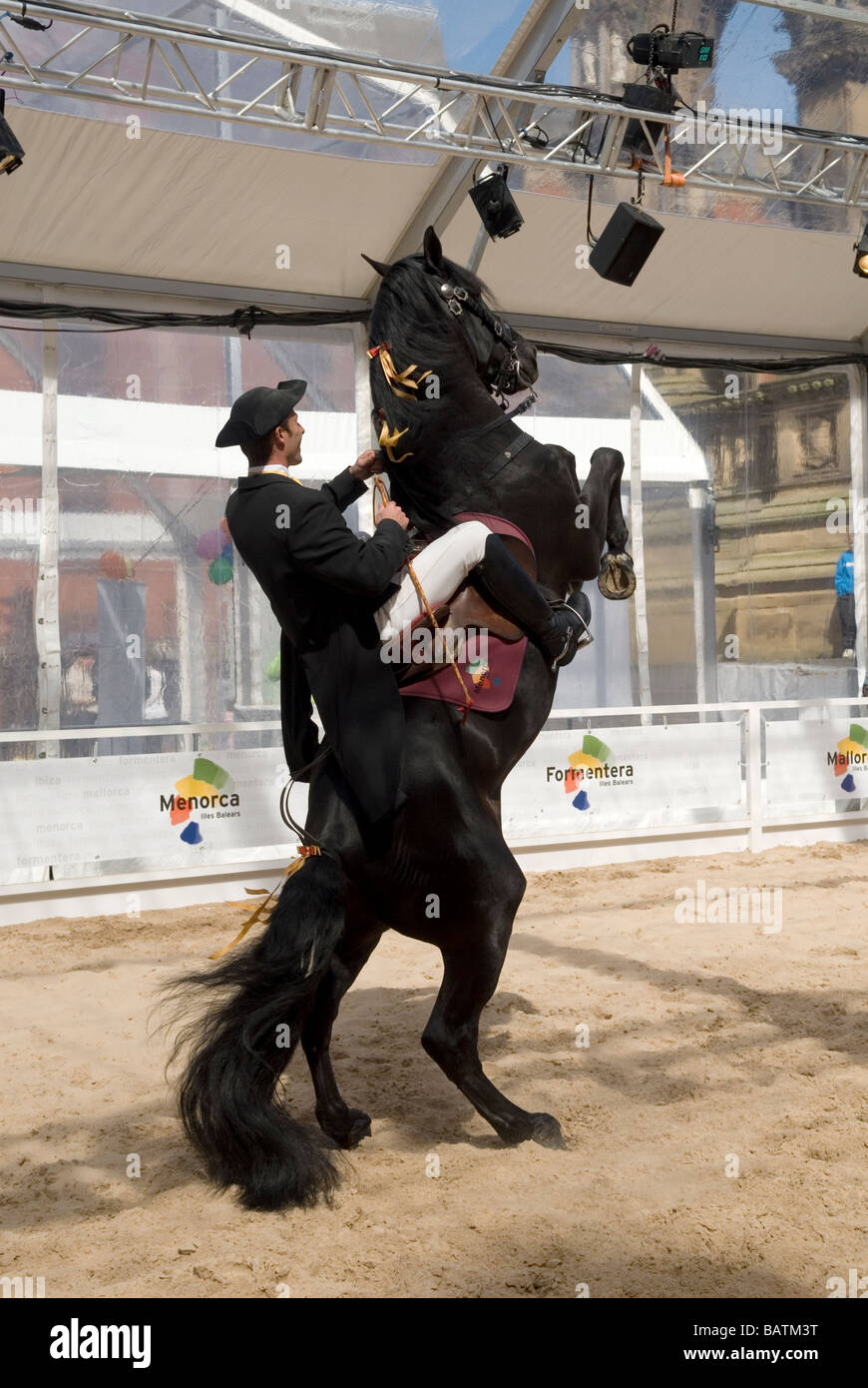 Spanische Dressur in Albert Square Manchester UK Stockfoto