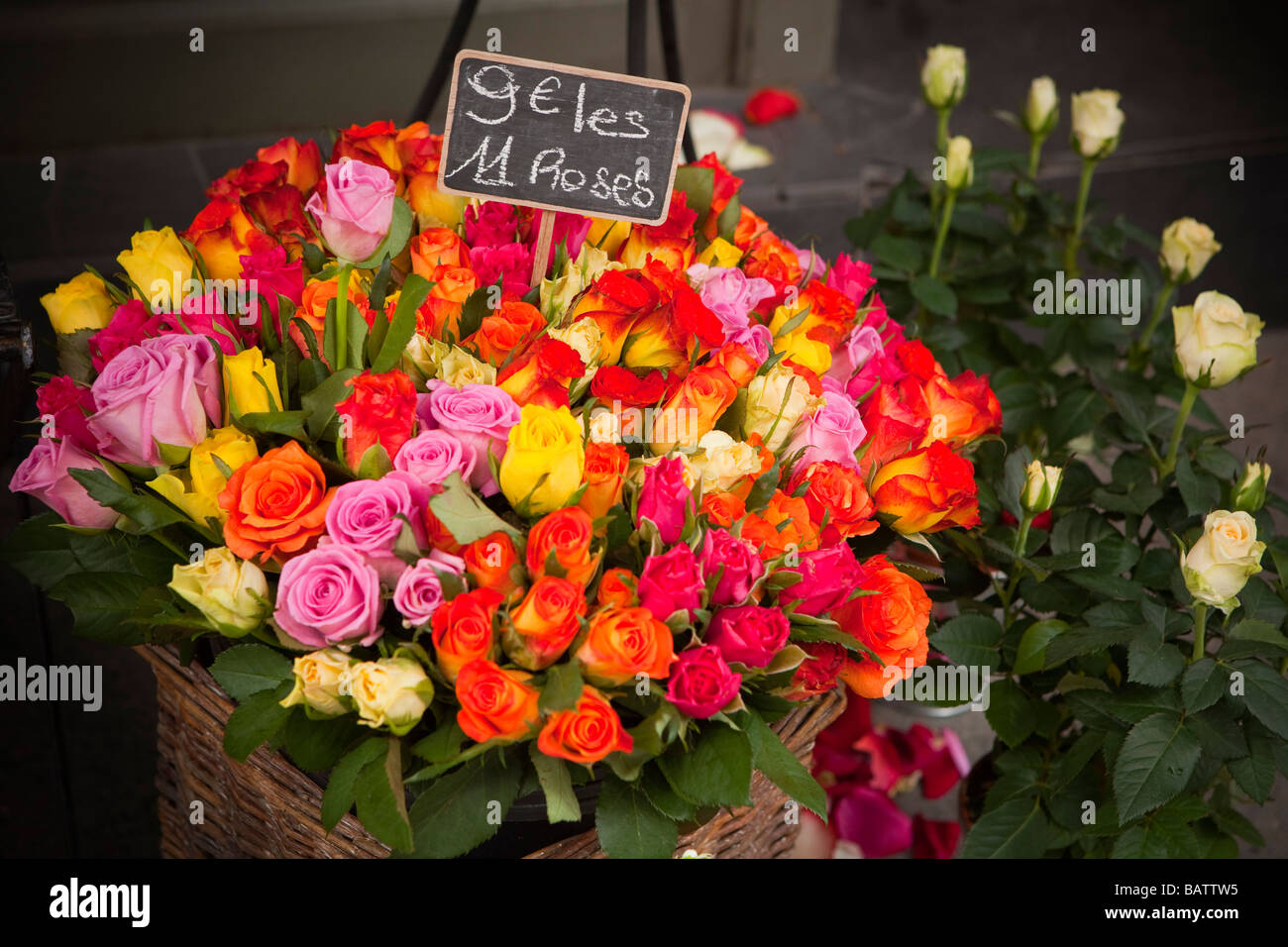 Rose Shop Rue du Bac Paris Europa Stockfoto