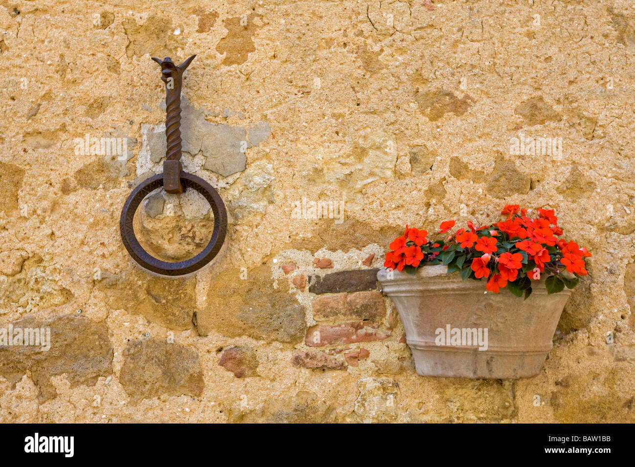 Italien, Toskana, Flower Box und eisernen Ring an Steinmauer, Nahaufnahme Stockfoto