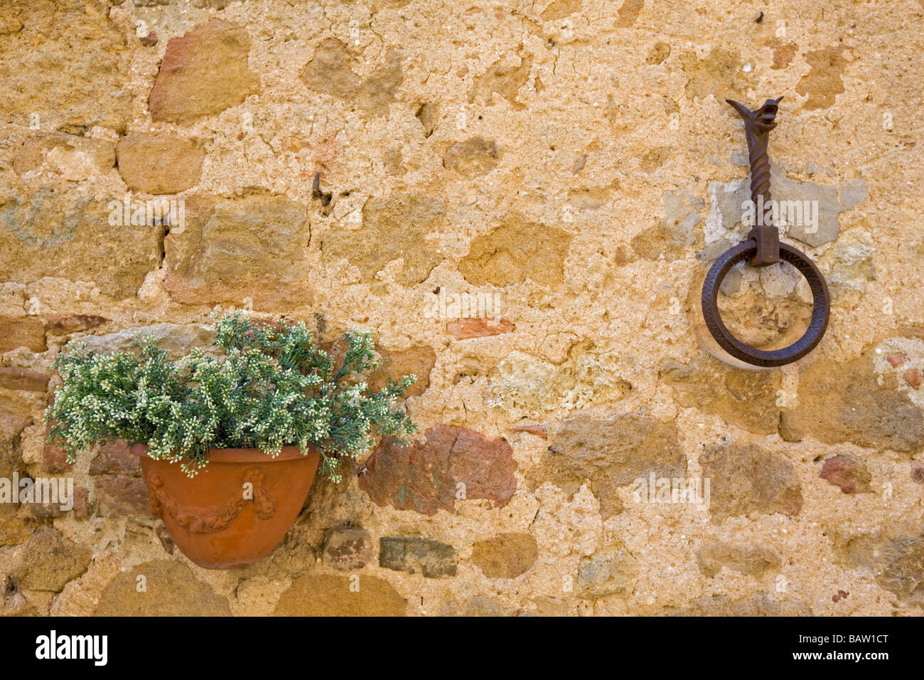 Italien, Toskana, Flower Box und eisernen Ring an Steinmauer, Nahaufnahme Stockfoto