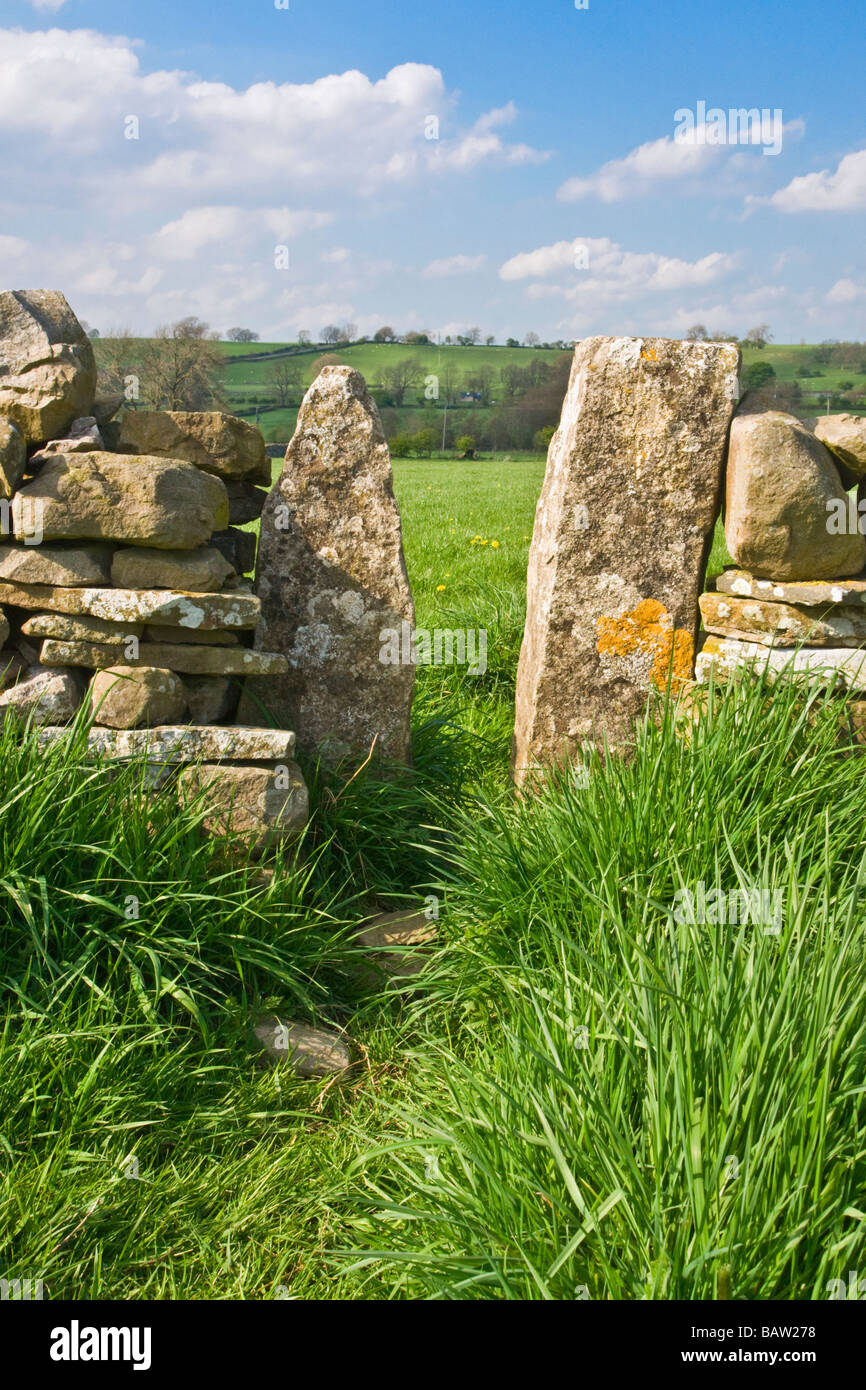 Stil in Trockenmauer, Squeeze, Wensleydale, North Yorkshire. Stockfoto