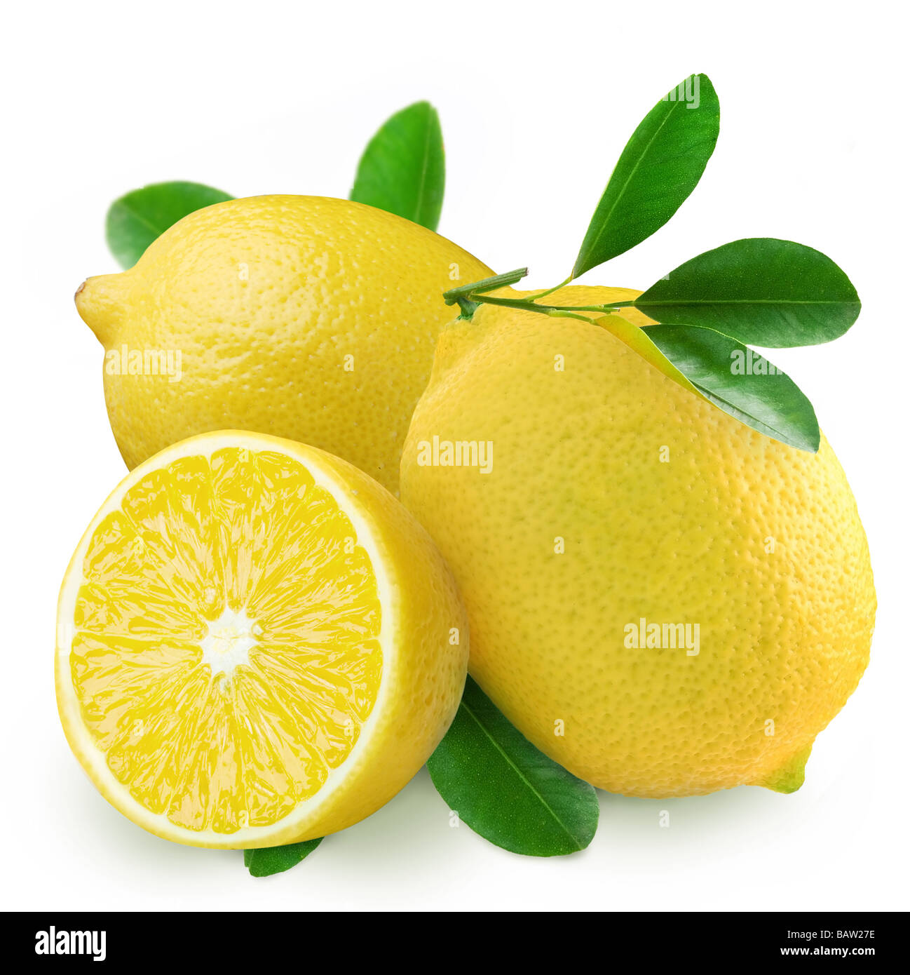 Zitronen mit Blättern auf weißem Hintergrund Stockfoto