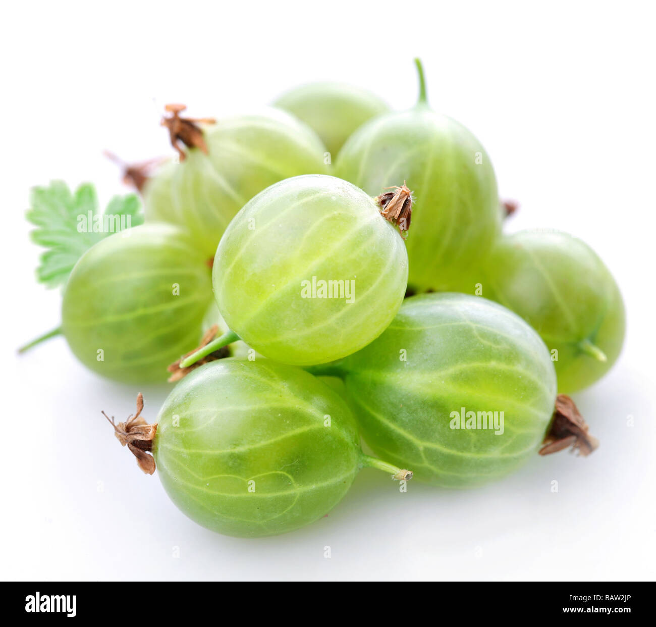 Stachelbeere auf weißem Hintergrund Stockfoto