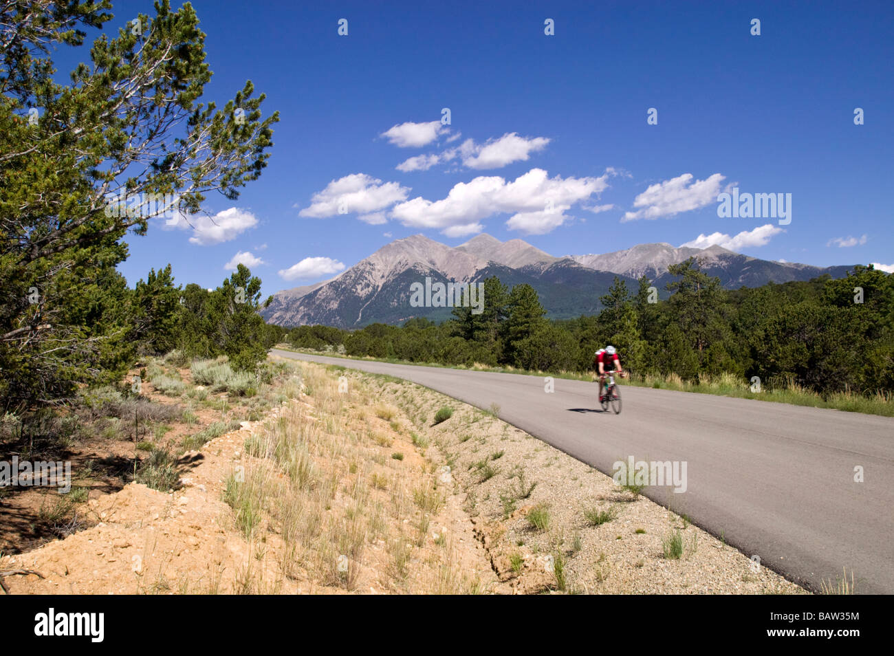 Fahrrad Racers konkurrieren in einem Straßenrennen außerhalb Salida Chaffee County Colorado USA Stockfoto