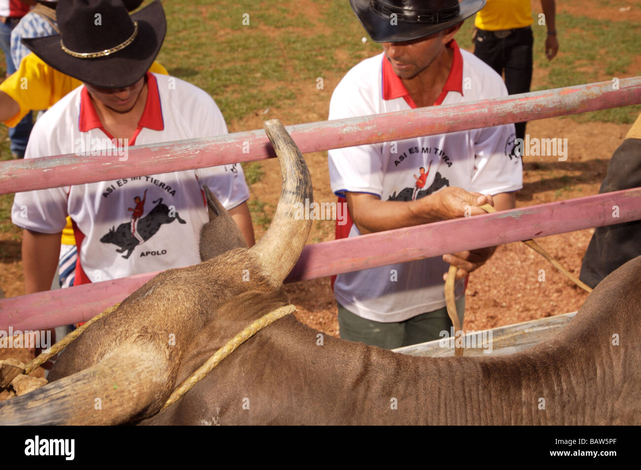 Männer bereiten einen Käfig Bull Ring auf einem Festival in Apolo Bolivien zu betreten Stockfoto