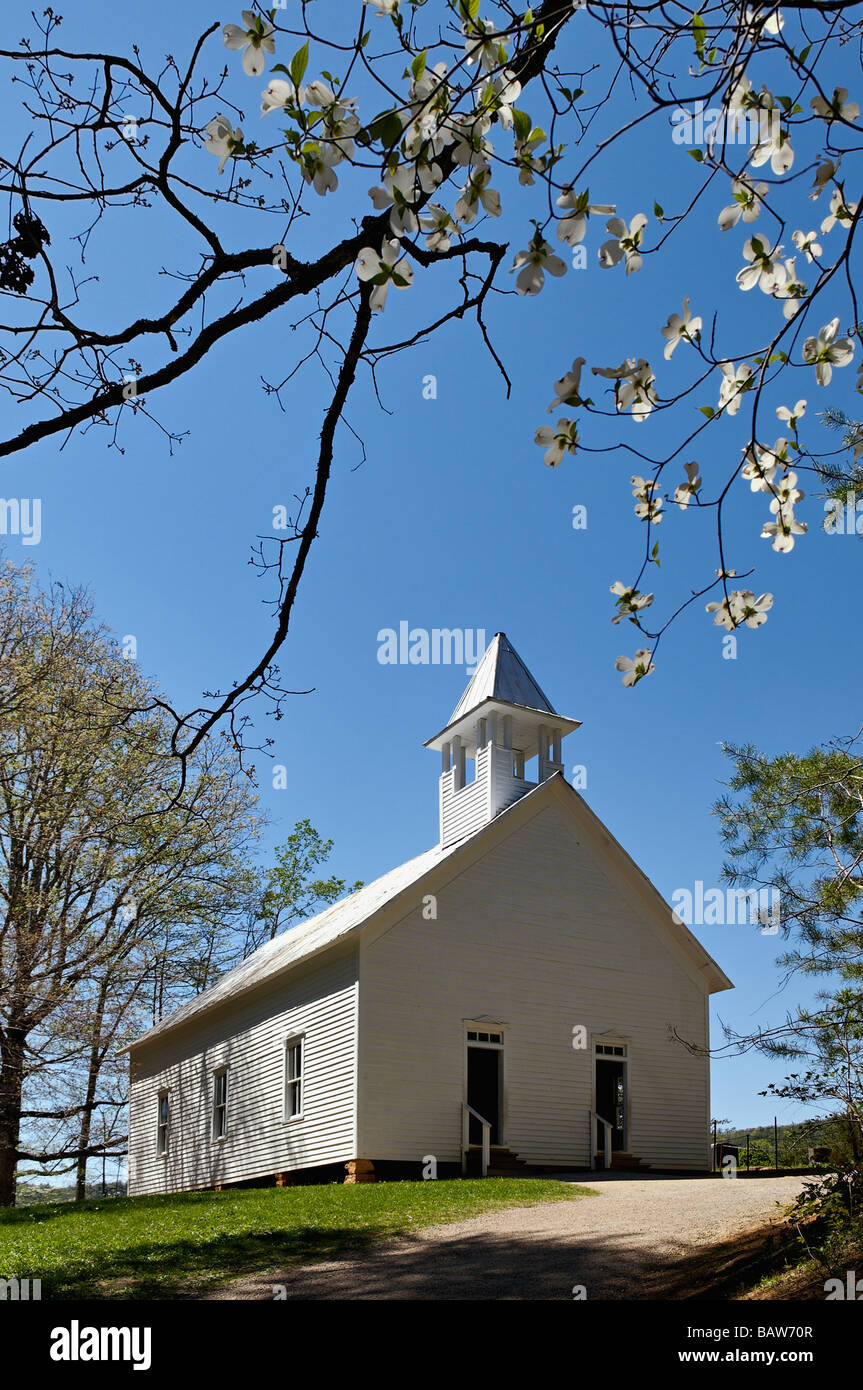 Cades Cove Evangelisch-methodistische Kirche, umrahmt von blühenden Hartriegels in der Great-Smoky-Mountains-Nationalpark-Tennessee Stockfoto