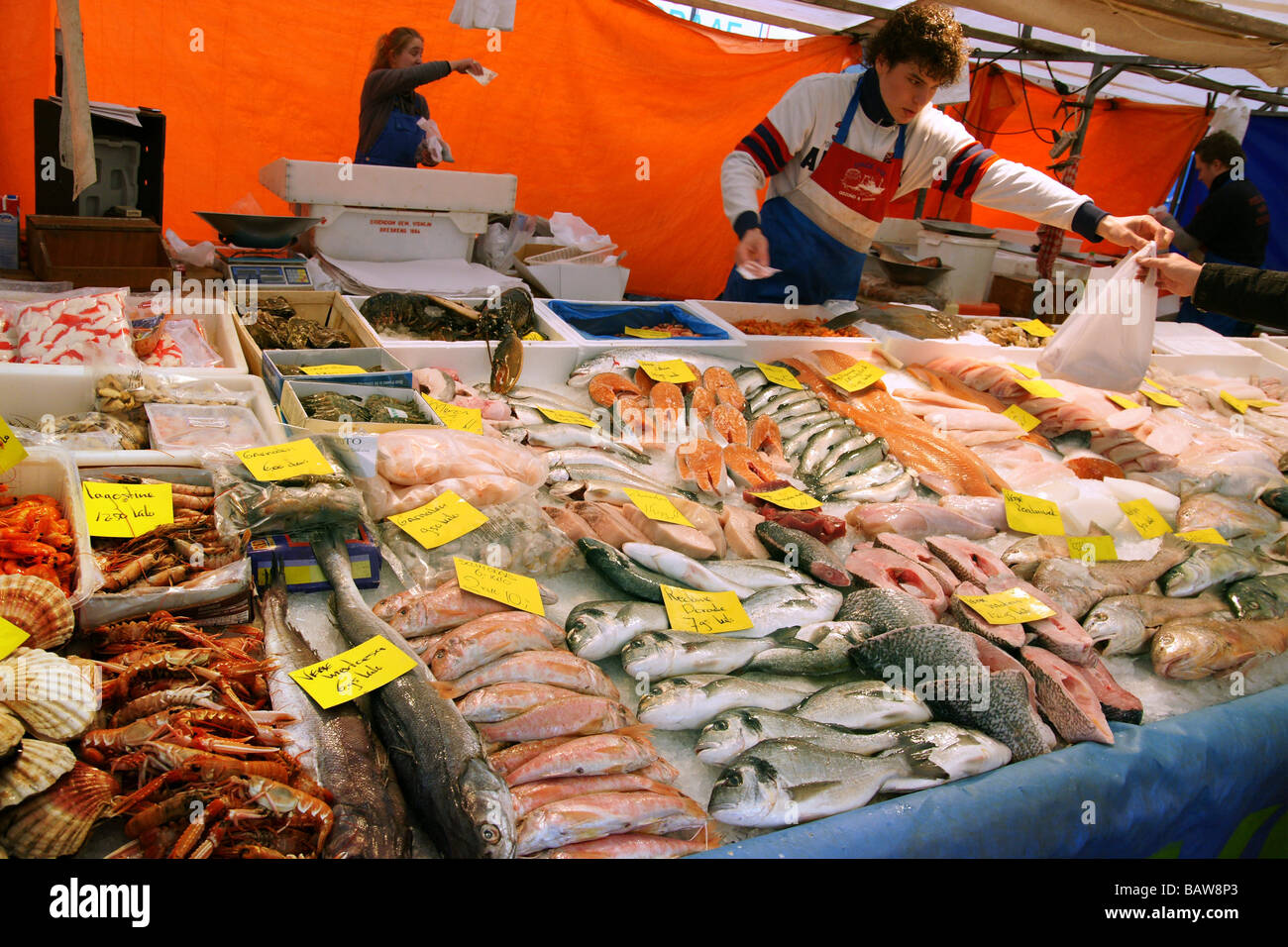 Fischmarkt in Rotterdam Niederlande Stockfotografie Alamy