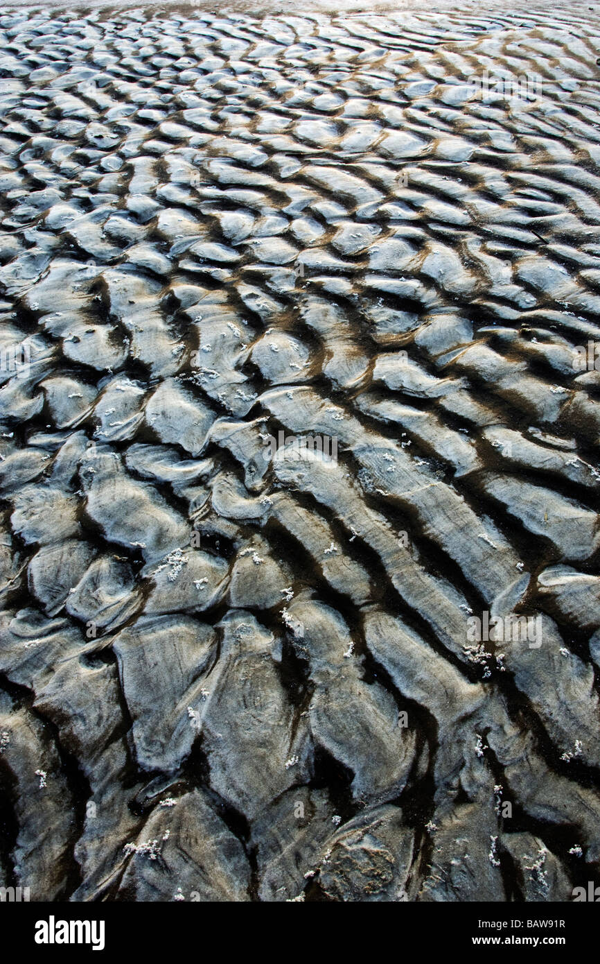 Muster in den Sand - Jekyll Island, Georgia USA Stockfoto