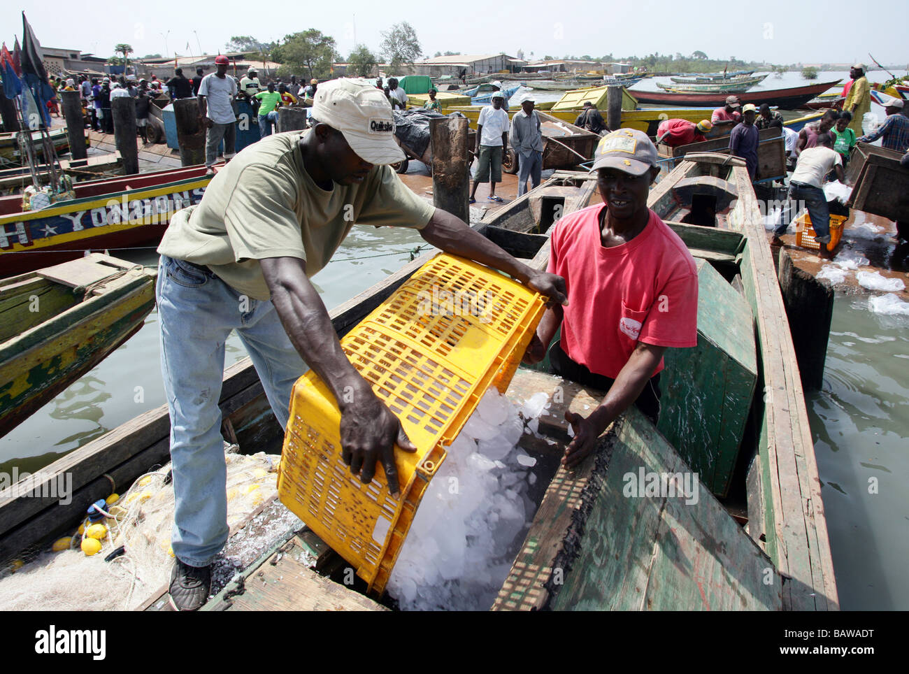 Fischer laden Eis zu den Booten im Hafen von Kamsar, Guinea, Westafrika Stockfoto