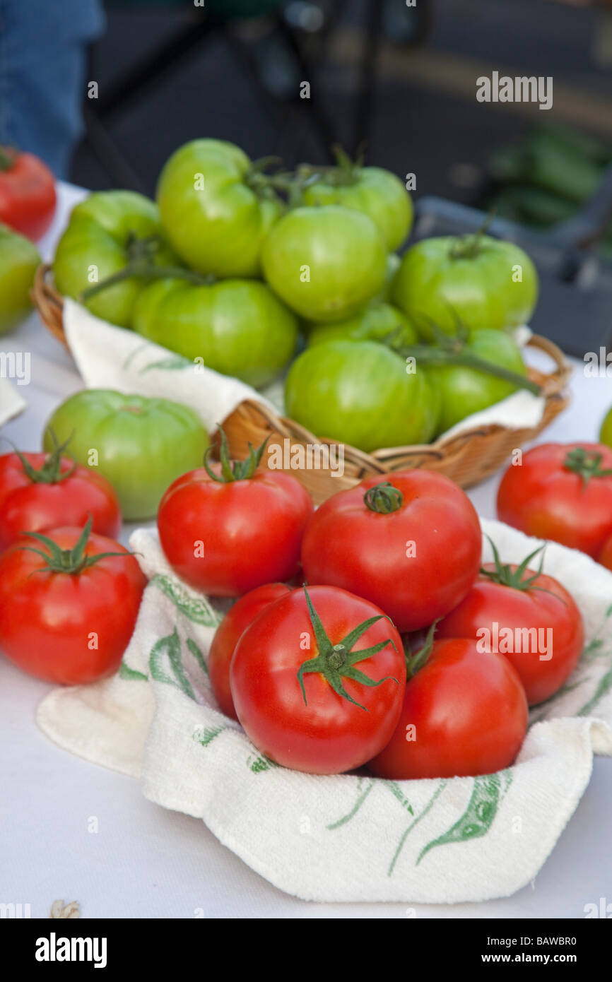 New Orleans Louisiana Tomaten zum Verkauf an einen Bauernmarkt Stockfoto