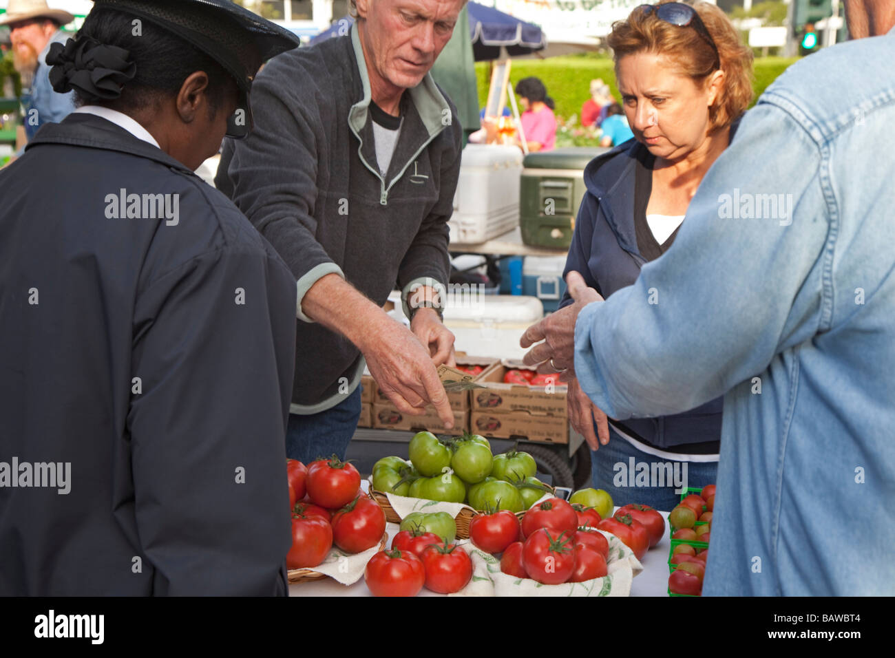 New Orleans Louisiana Tomaten zum Verkauf an einen Bauernmarkt Stockfoto
