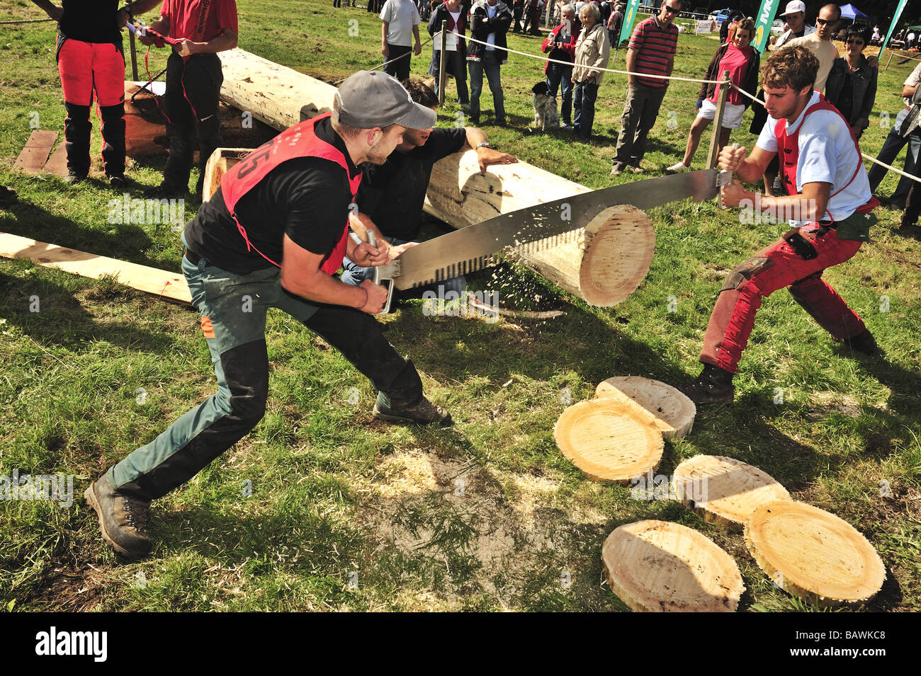 Logger mit einer zwei-Mann-Ablängsäge in eine Protokollierung Wettbewerb gegen die Uhr Sägen. Stockfoto