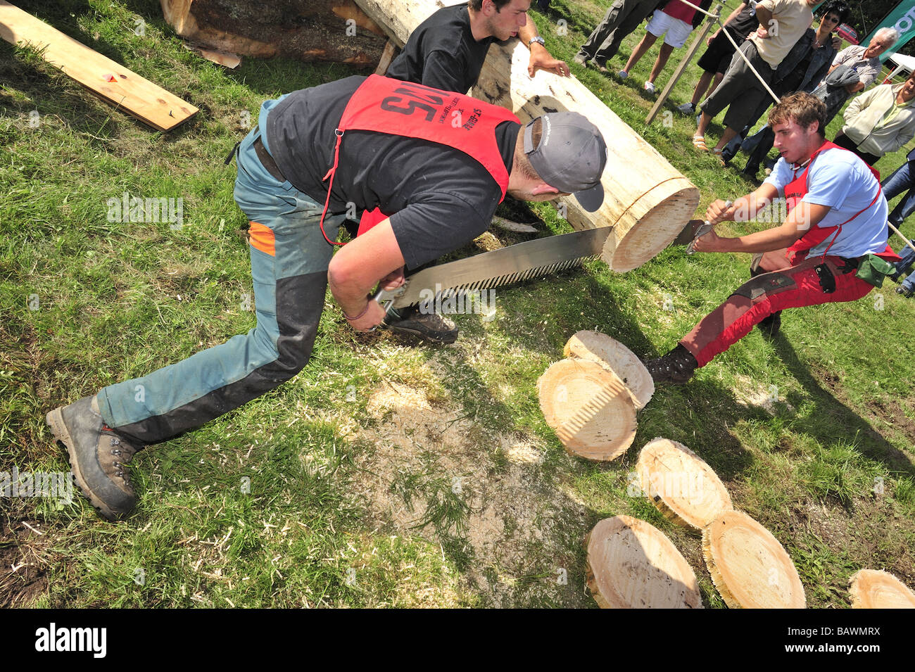 Logger mit einer zwei-Mann-Ablängsäge in eine Protokollierung Wettbewerb gegen die Uhr Sägen. Stockfoto