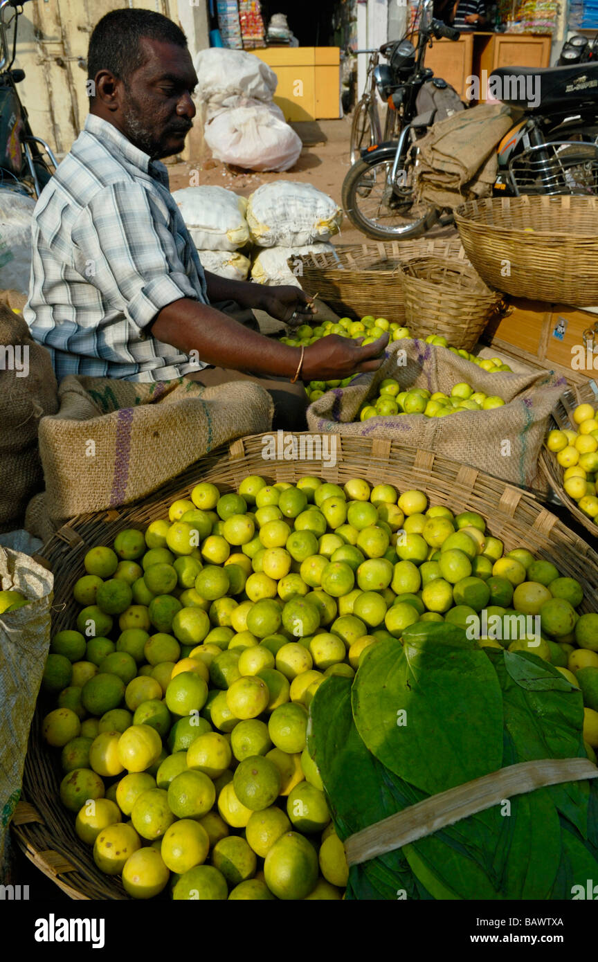 Indien, Karnataka, Mysore. Verkäufer auf Mysore Obstmarkt. Keine Releases zur Verfügung. Stockfoto