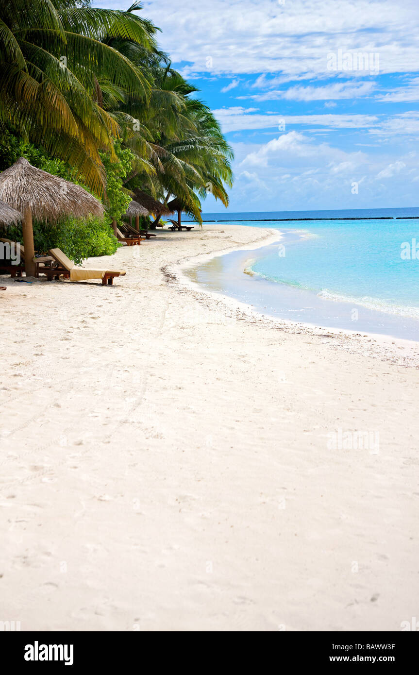 Strand und Palmen Stockfoto