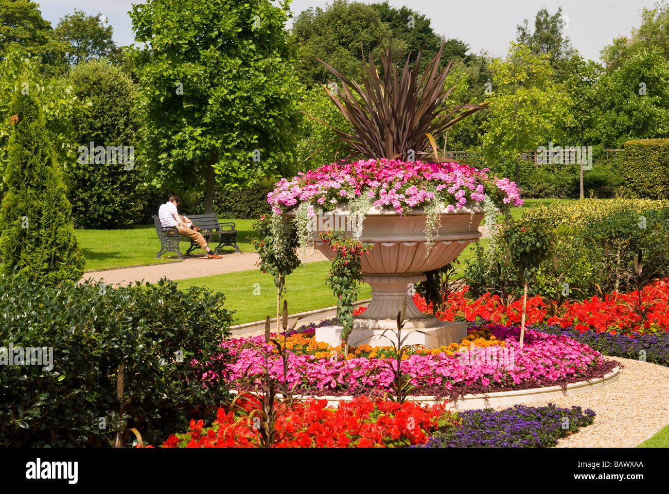Sommerblumen im Regents Park Stockfoto