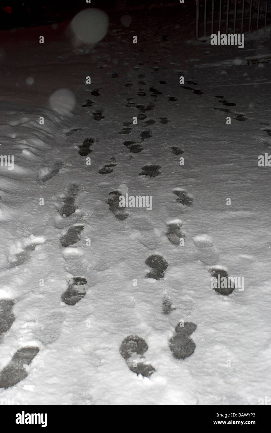 Nacht vertikale Schnee Winter Marken Footprints druckt kommenden hergesendet zurück verfolgt Bürgersteig Saison Stockfoto