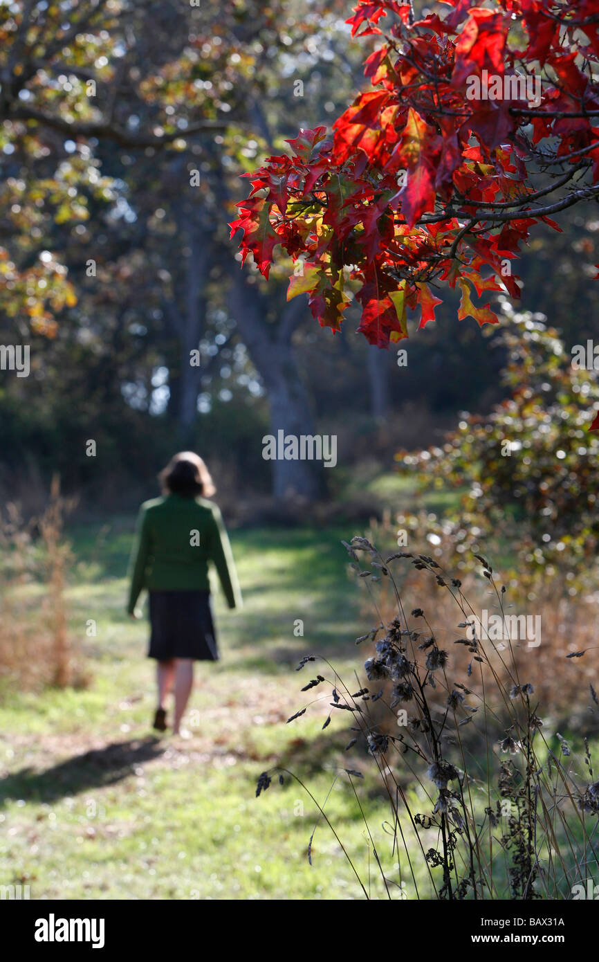 Eine junge Frau trägt einen Rock Spaziergänge durch den Park während der Herbstsaison in Victoria, BC, Kanada. Stockfoto