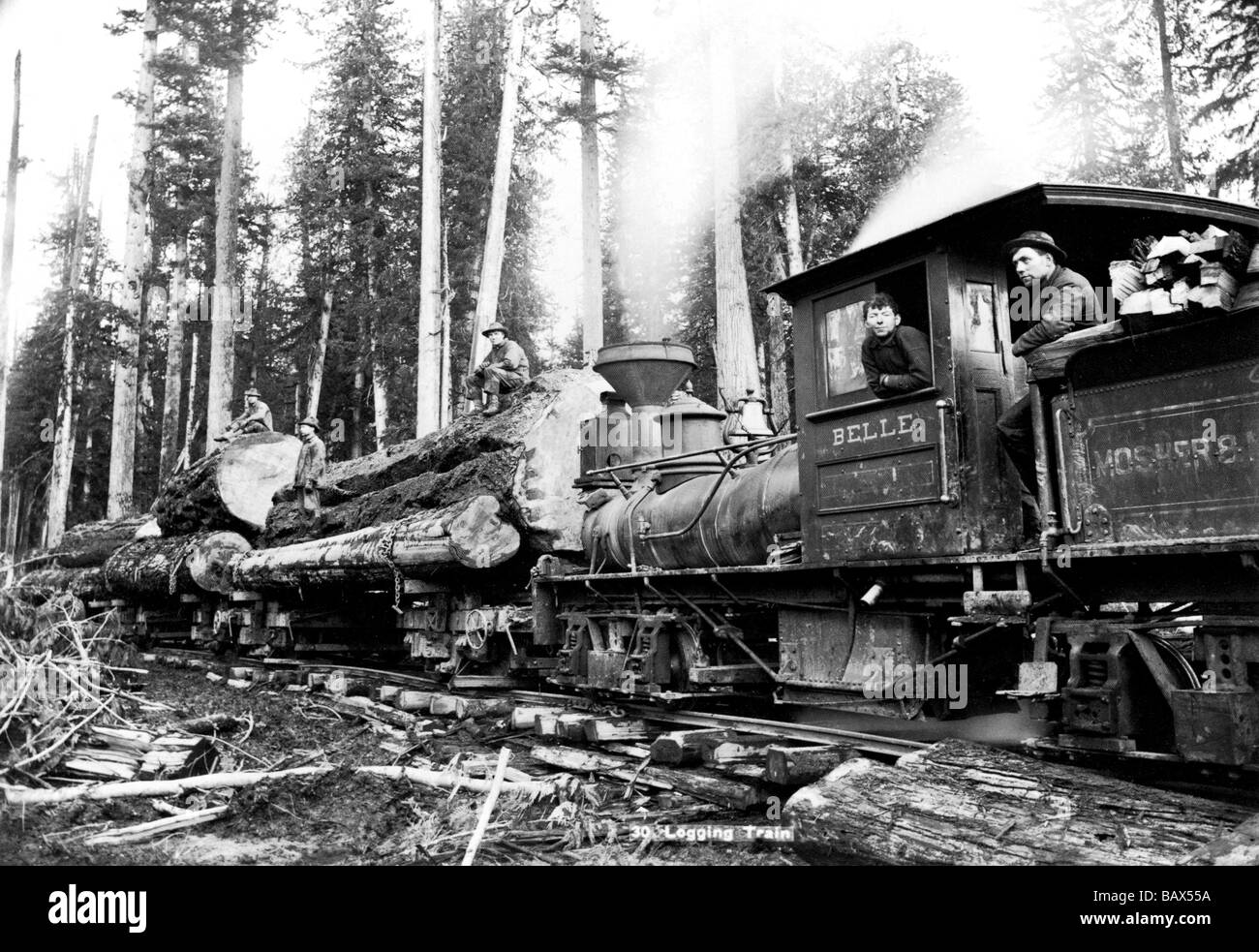 Protokollierung-Zug Stockfoto