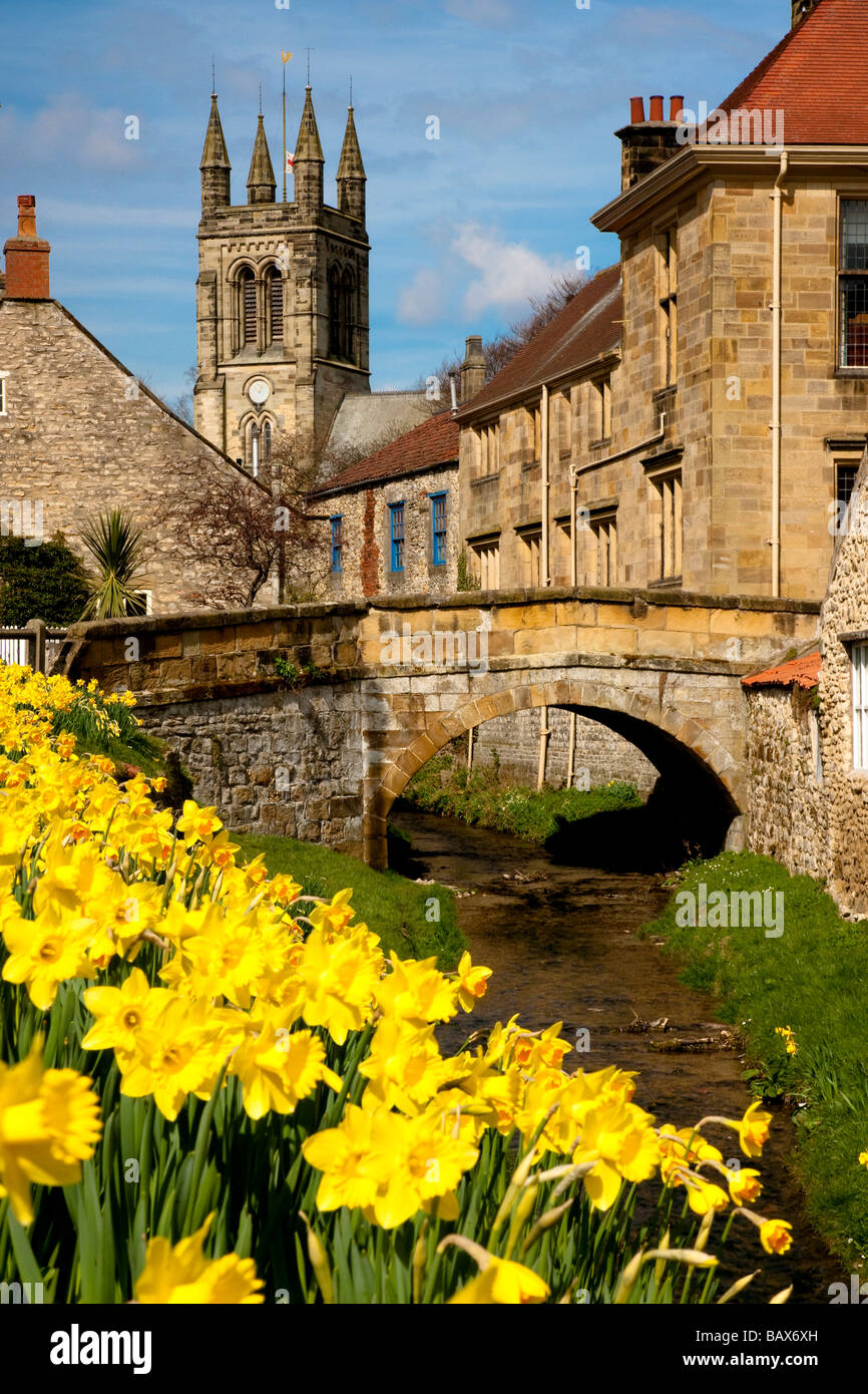 Narzissen Zeit Castlegate Helmsley North Yorkshire Stockfoto