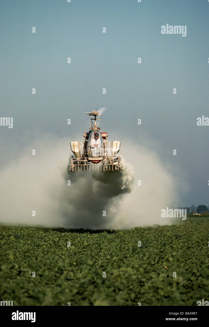 Hubschrauber modifiziert G3B Bell Zuckerrüben Feld abstauben. Stockfoto