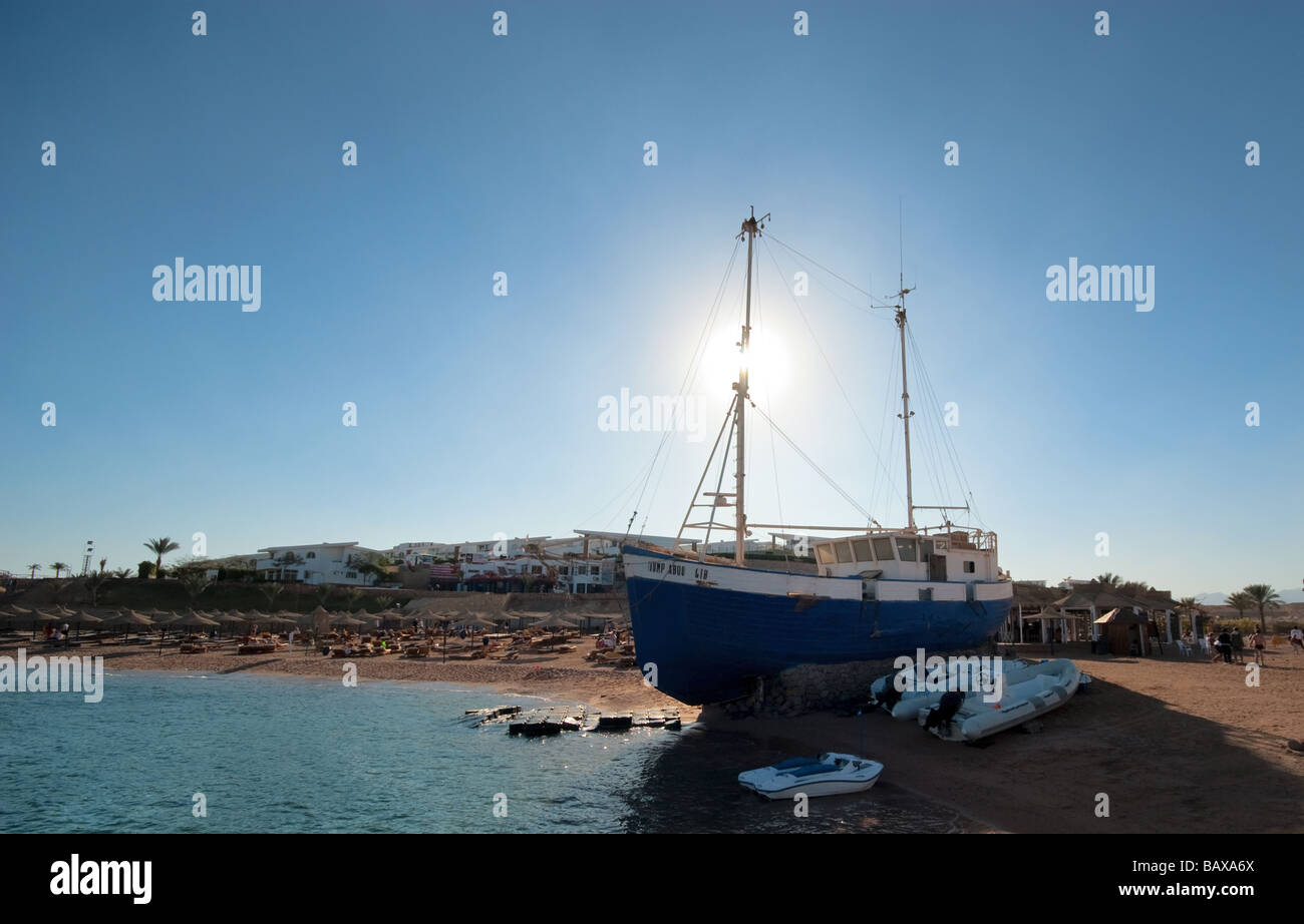 schöner Strand und das Rote Meer Haie bay Sharm el Sheikh Ägypten Stockfoto