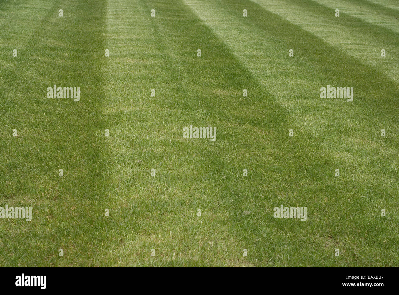 Vertent gras Fotos und Bildmaterial in hoher Auflösung Alamy
