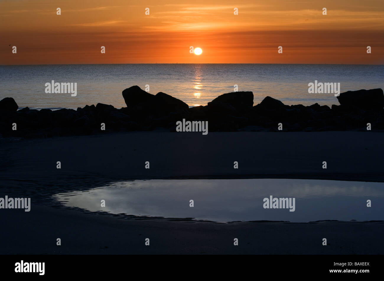 Sonnenaufgang von Treibholz Strand - Jekyll Island, Georgia Stockfoto