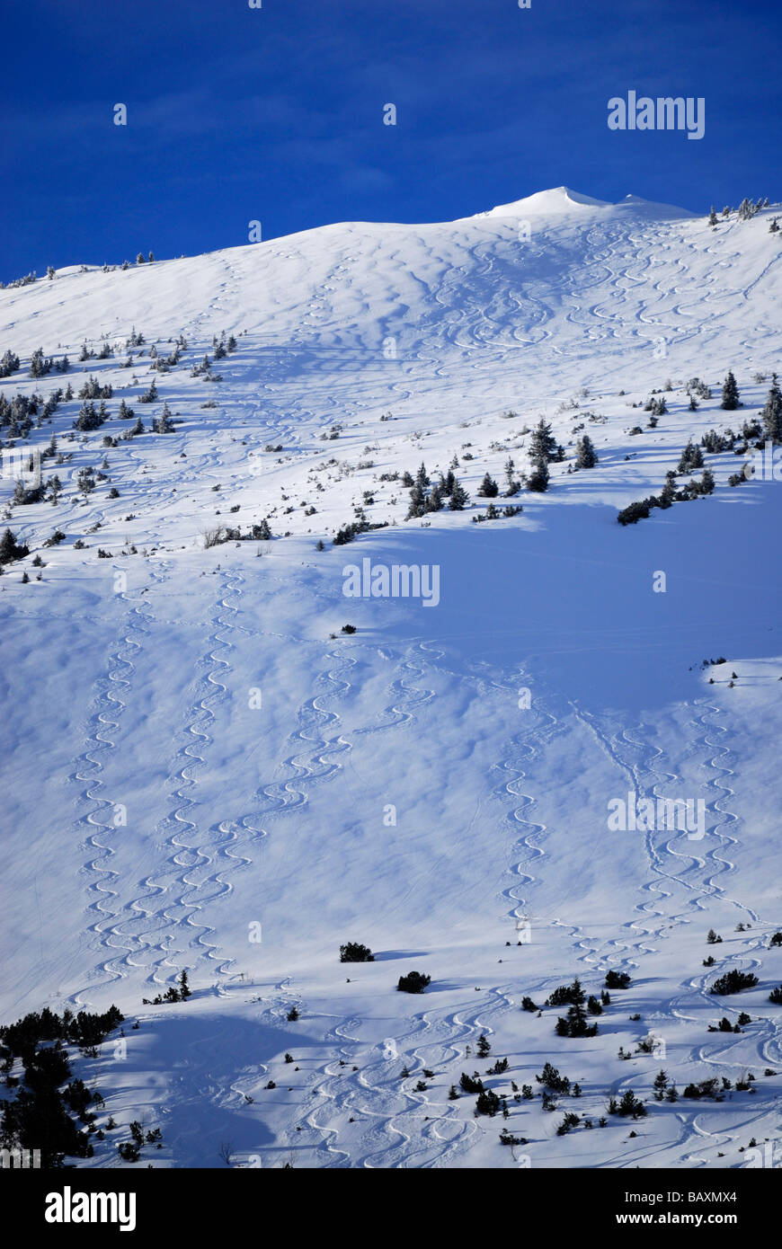 Ski Spuren im Pulver Schnee, Kuehgundkopf, Allgäu Palette, Allgäu, Tirol, Österreich Stockfoto