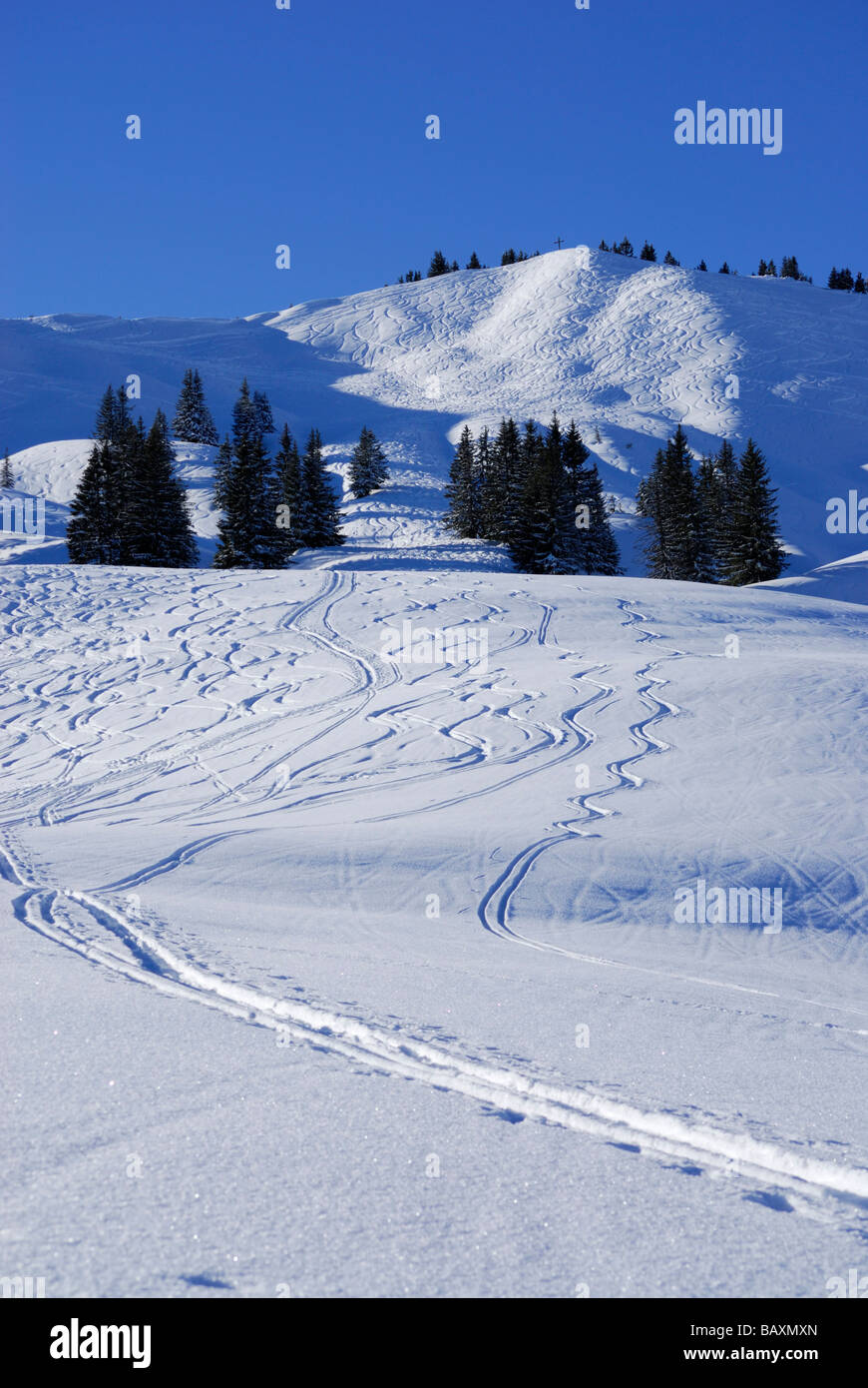 Pisten mit Pulver Schnee und Ski Tracks unter Bleicherhorn, Allgäu Palette, Allgäu, Schwaben, Bayern, Deutschland Stockfoto
