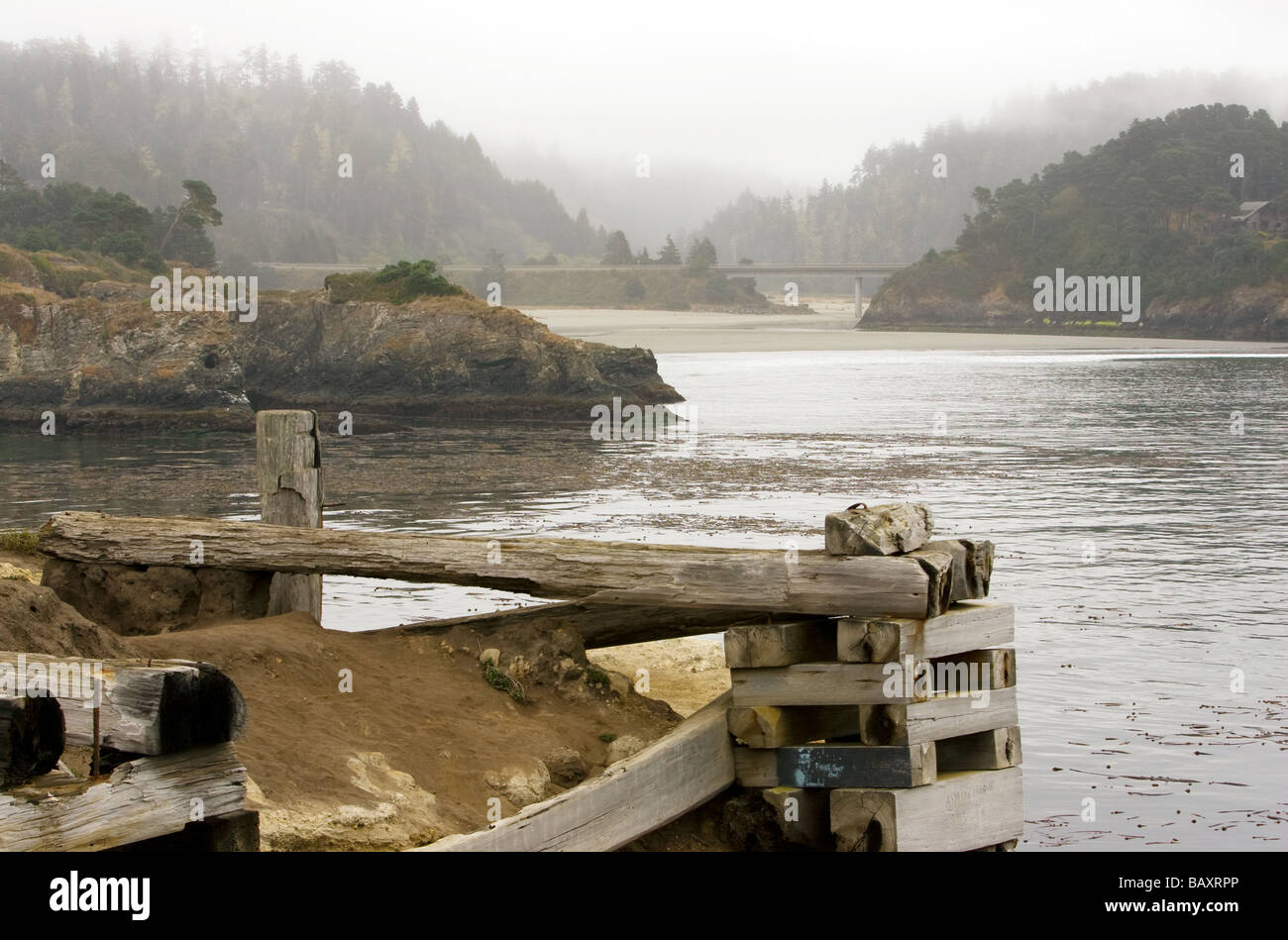 Nebligen Tag - Mendocino, Kalifornien Stockfoto