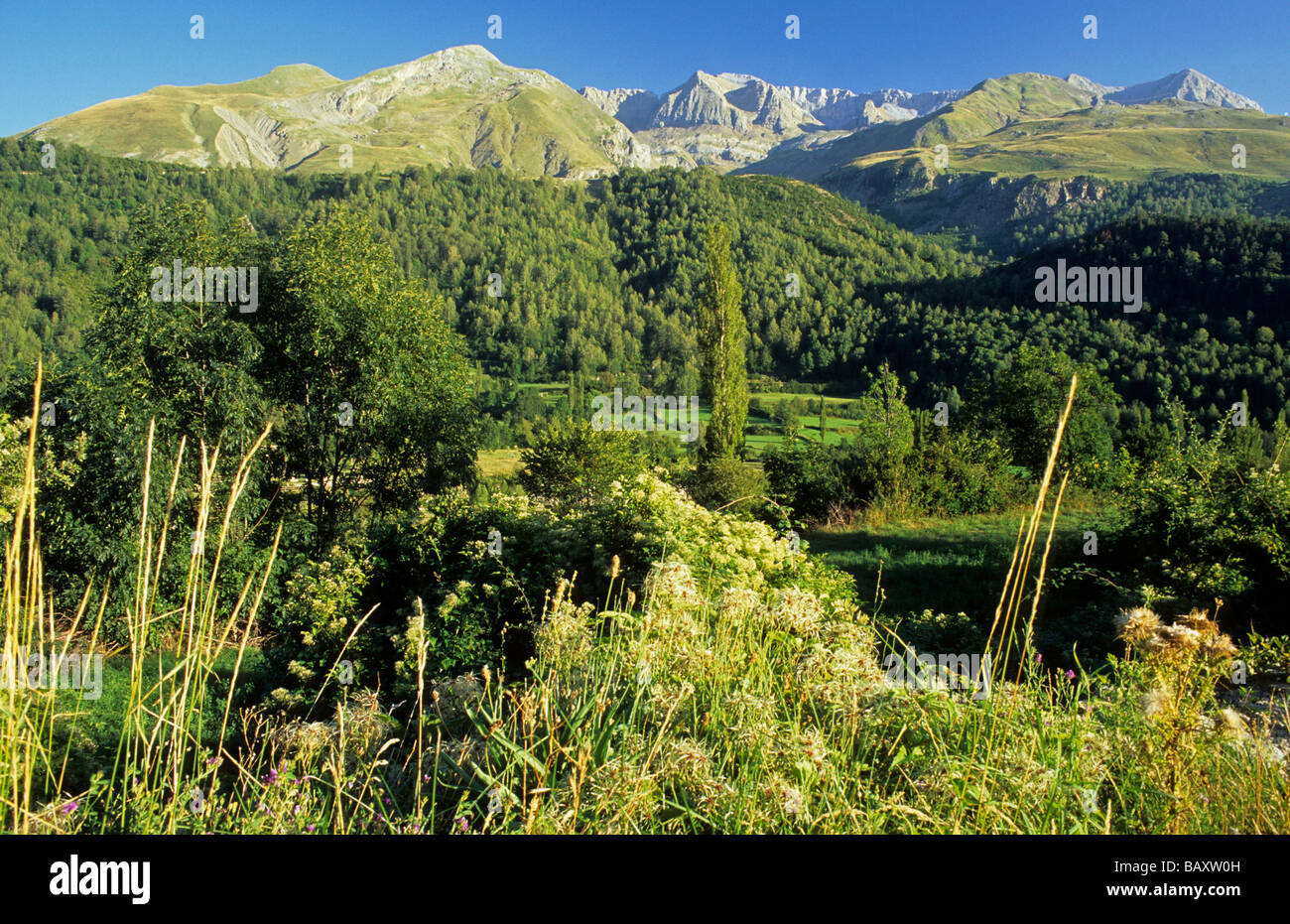 Puerto del Somport Panticosa Umgebung Aragon Spanien Stockfoto