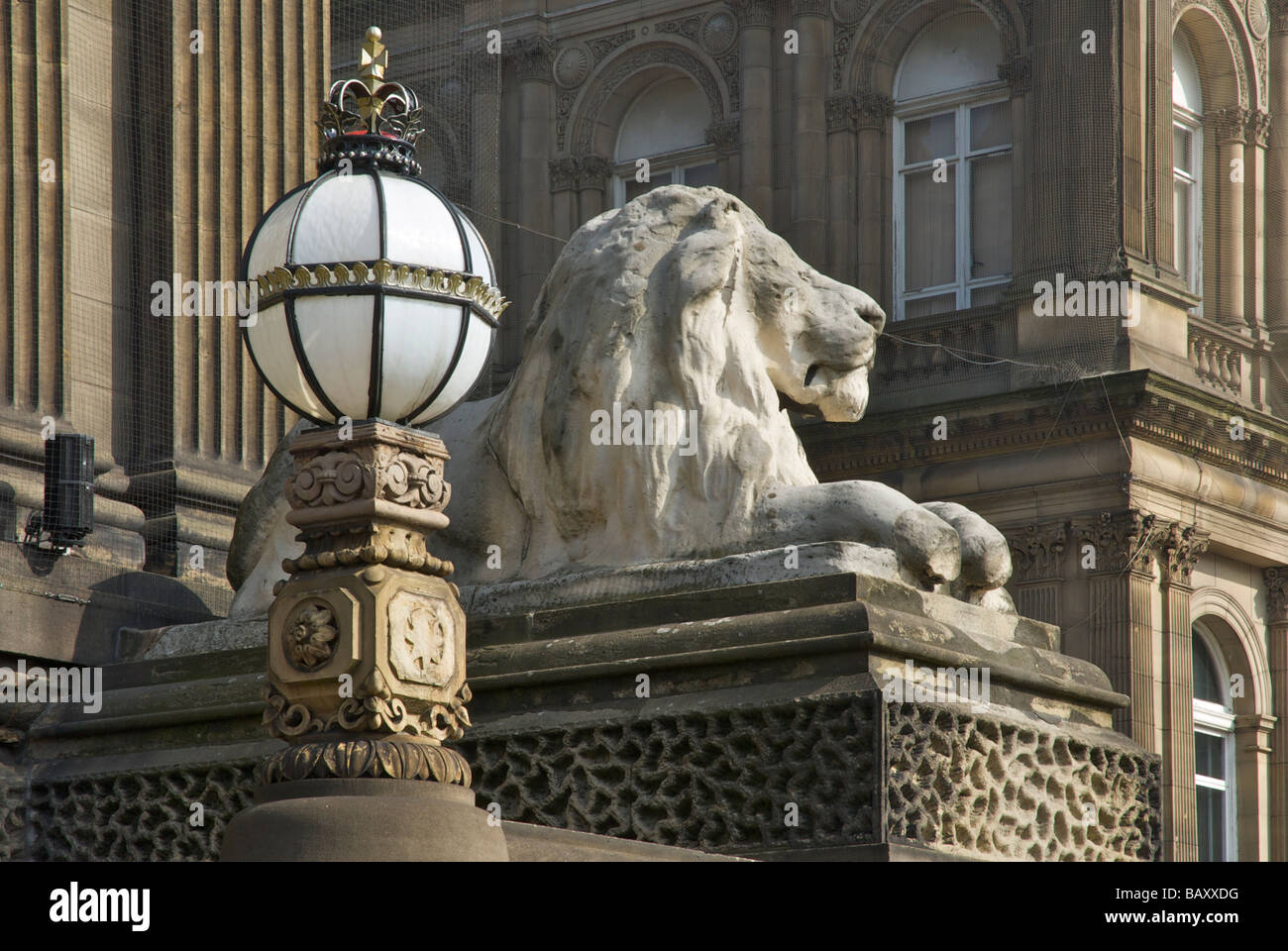 Einer der Löwen außerhalb der Stadt Hall, Leeds, West Yorkshire, England UK Stockfoto