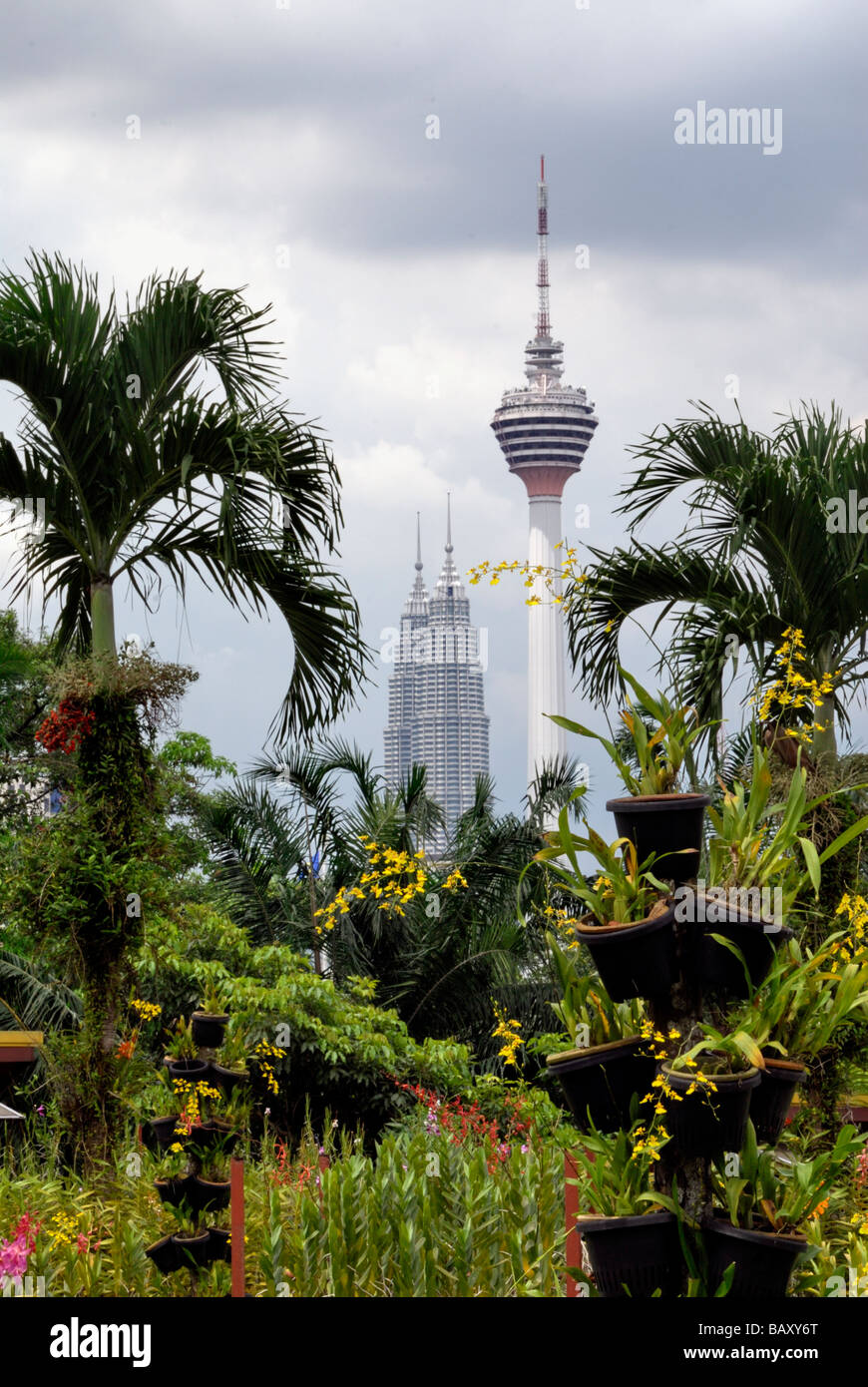 Orchid Garden, Kuala Lumpur, Malaysia, zeigt KL Tower und Petronas Towers im Hintergrund Stockfoto