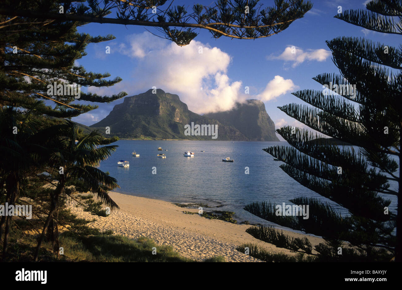 Blick über die Lagune zum Mount Lidgbird (l) und Mt. Gower (r), Australier/in Stockfoto