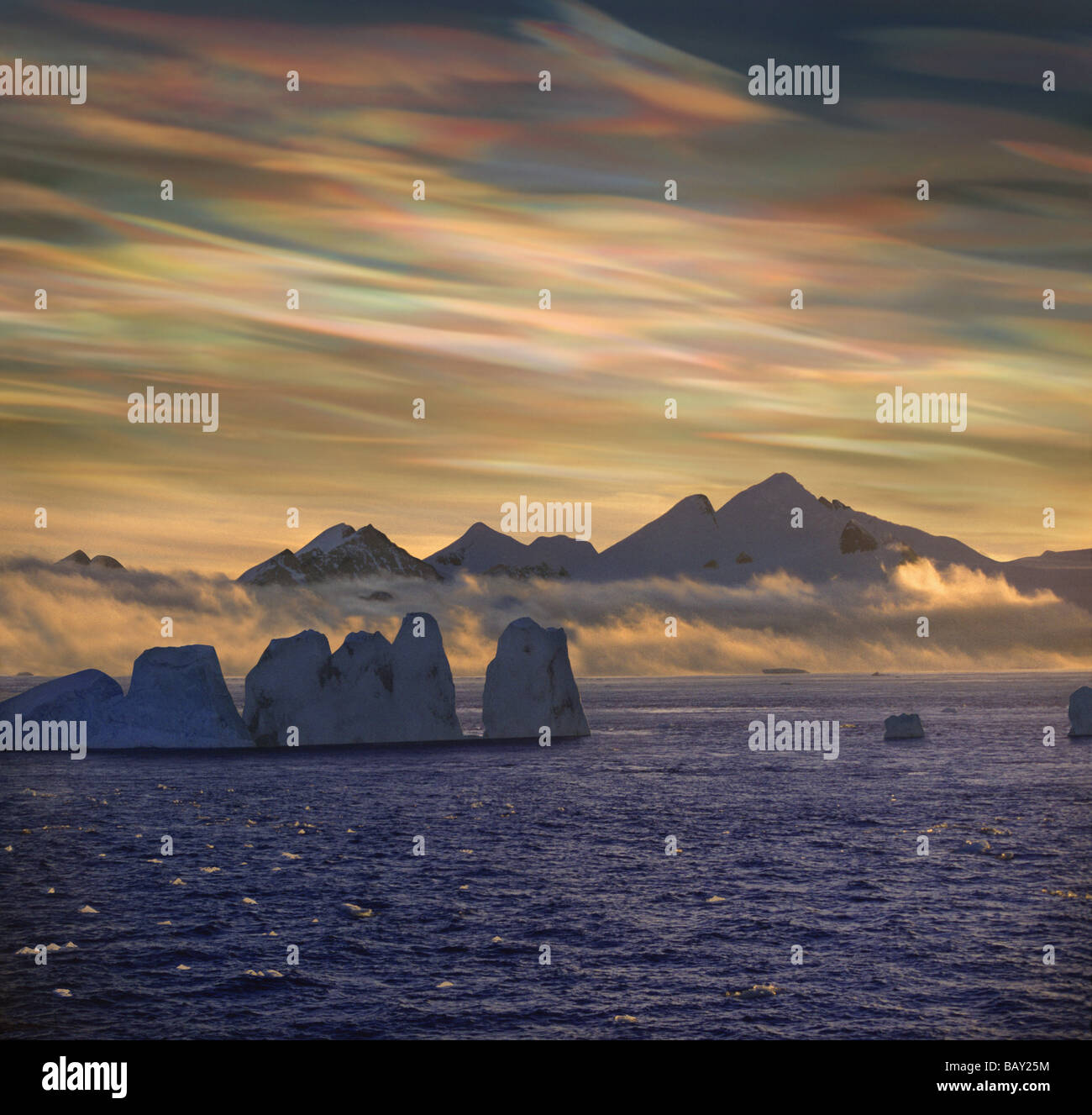 Mutter der Perle Wolken, Nacreous Wolken über Schnee bedeckte Eisberg, antarktische Halbinsel, Antarktis Stockfoto