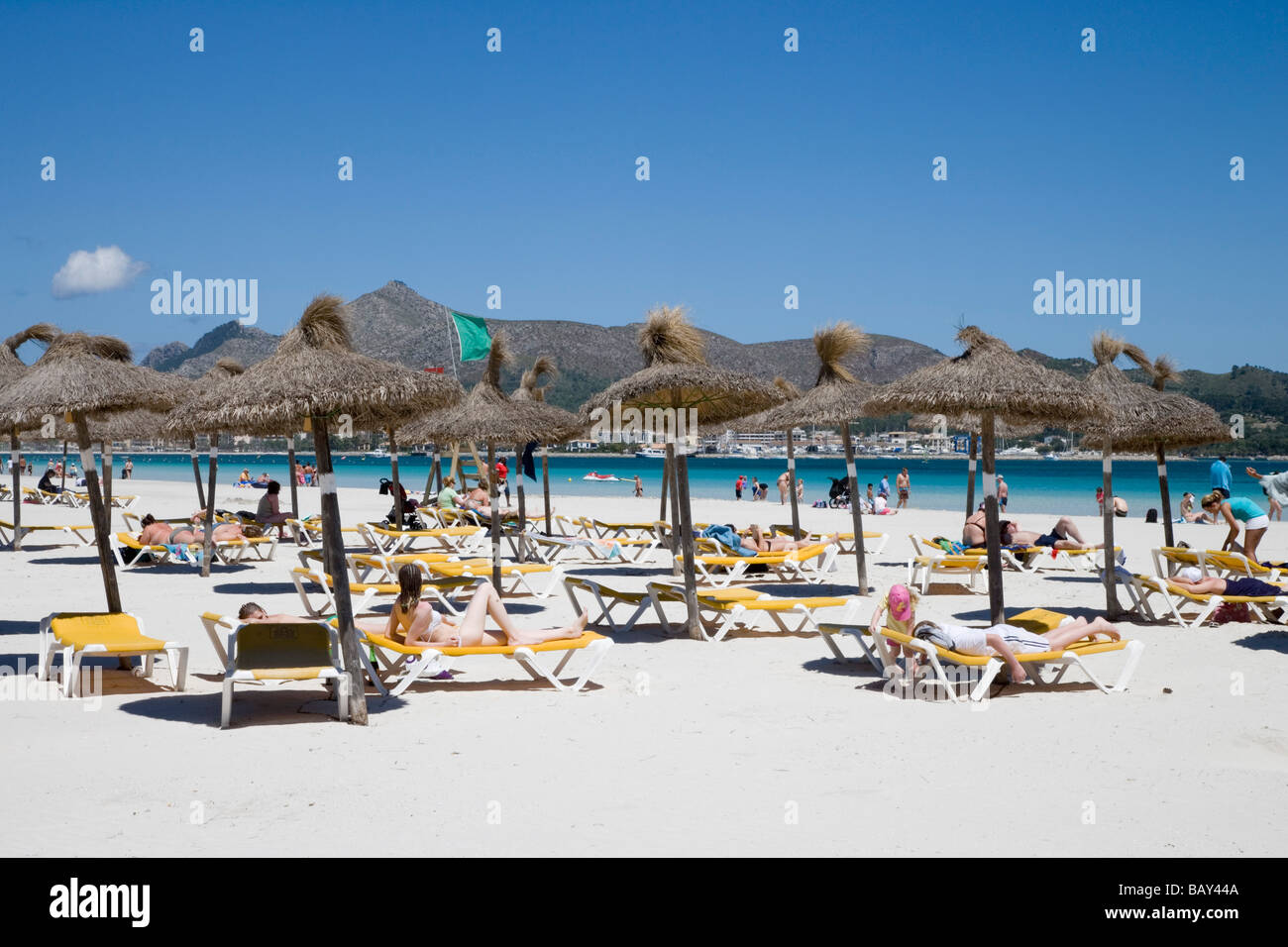 Sonnenliegen und Sonnenschirme am Hafen d'Alcudia Beach, Port d'Alcudia, Mallorca, Balearen, Spanien Stockfoto