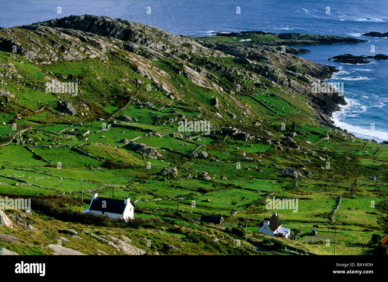 Küstenlandschaft mit Hütte und grüne Wiesen, Derrynane Bay, Ring of Kerry, County Kerry, Irland, Europa Stockfoto
