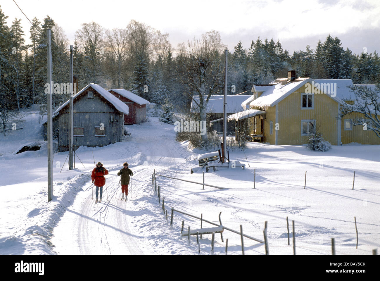 Zwei Langläufer auf einer schneebedeckten Straße im Sonnenlicht, Vastergotland, Schweden Stockfoto