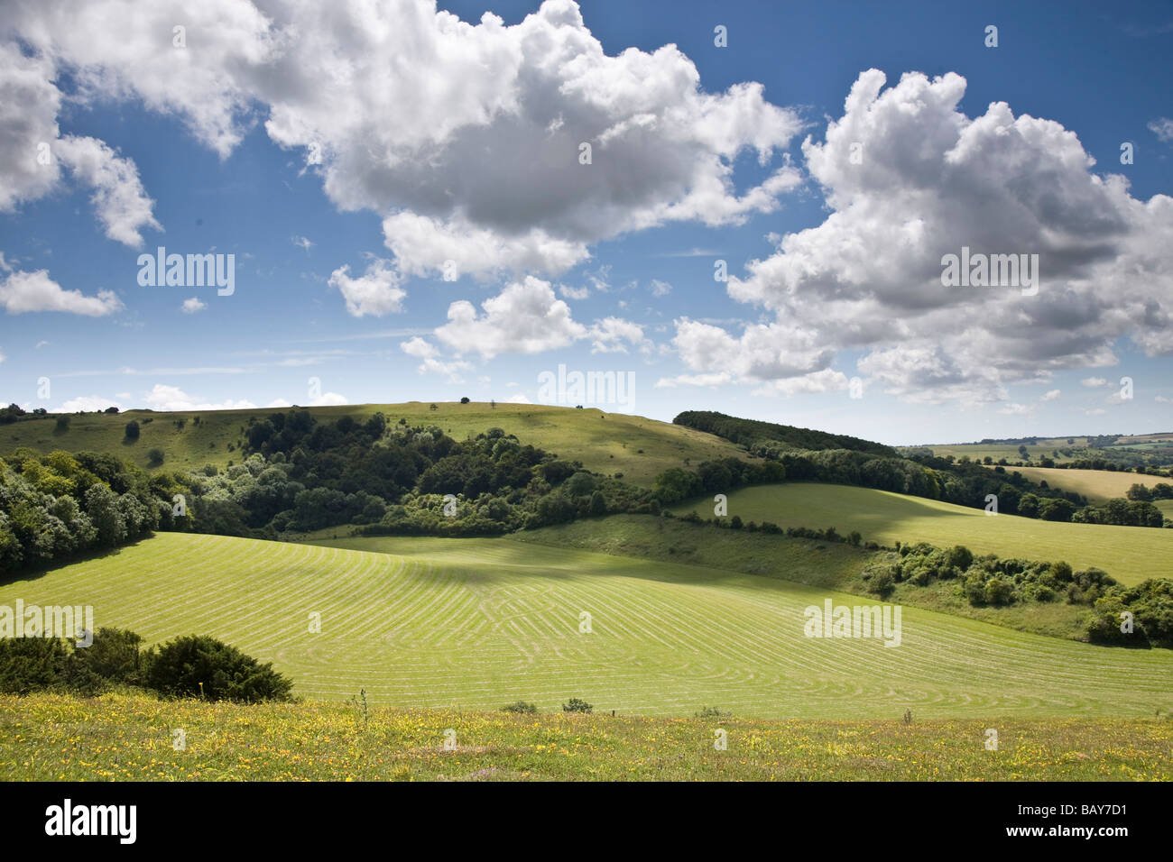 Blick auf das Meon Valley und den South Downs aus alten Winchester Hill, Hampshire, UK Stockfoto