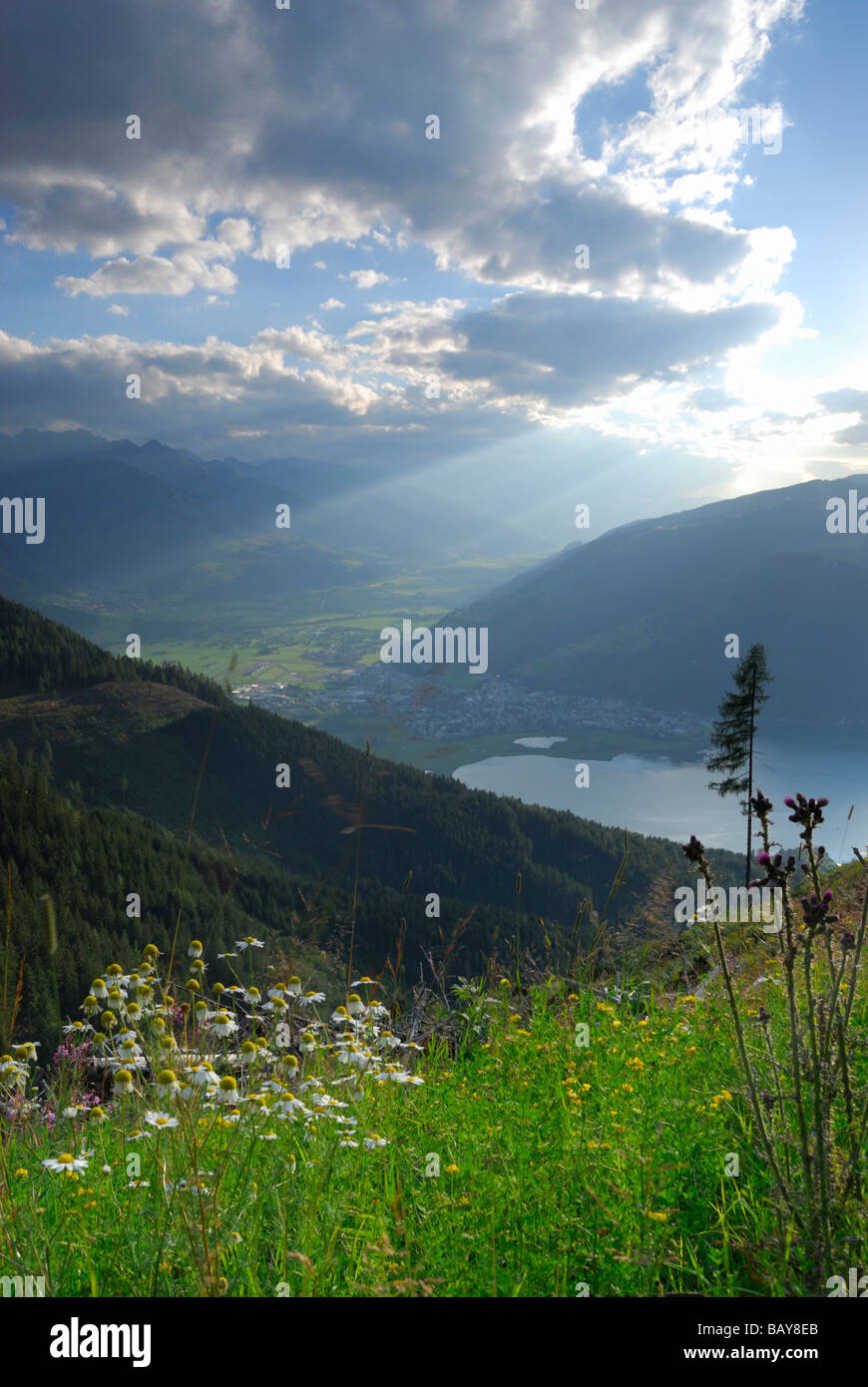 Blütenmeer mit Wolken über dem Zeller See, Hundstein, Zell am See sehen, Salzburger Schieferalpen Palette, Salzburg, Österreich Stockfoto