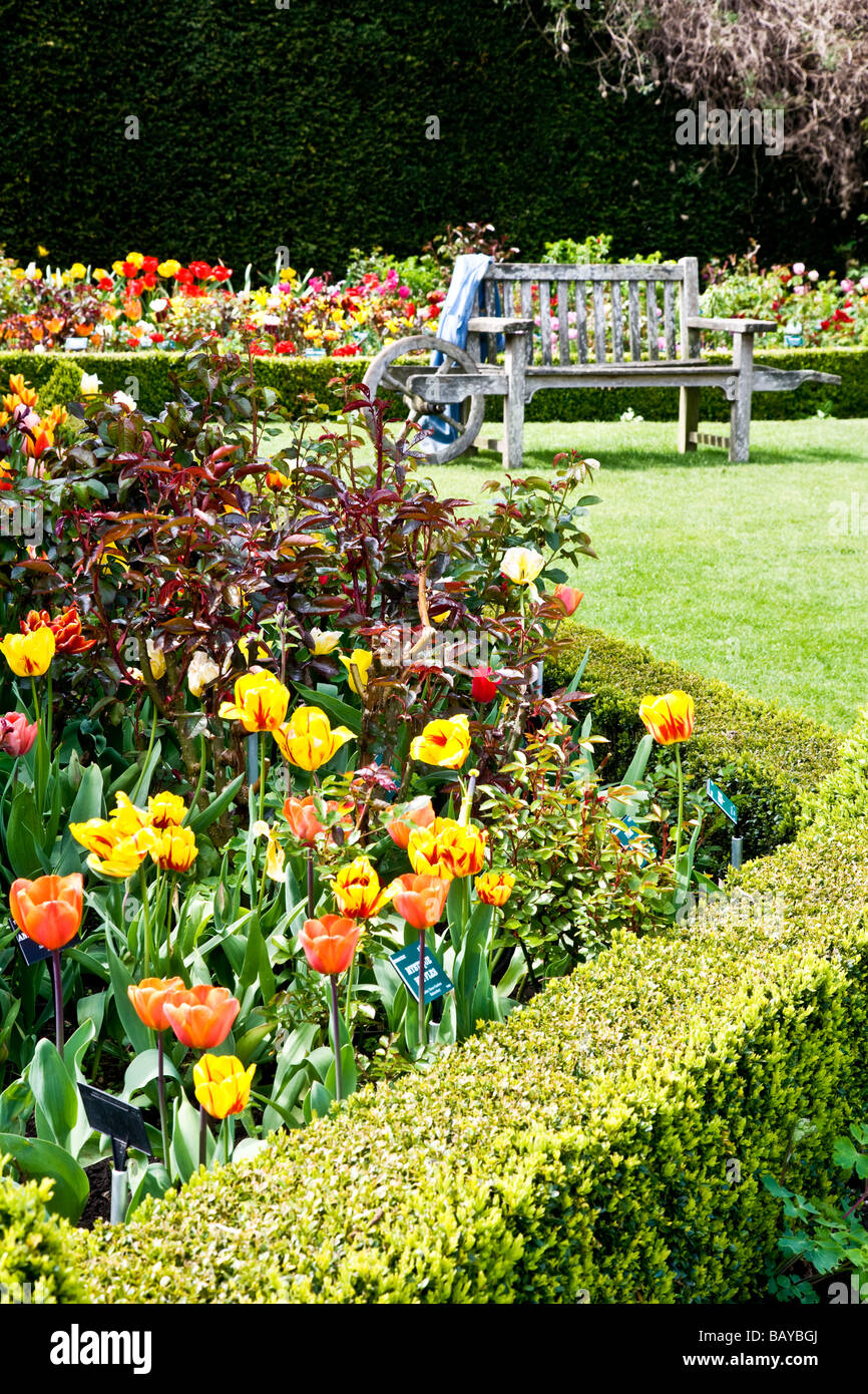 Viele verschiedene Sorten von bunten Tulpen in eine Grenze bei Abbey House Gärten Malmesbury Wiltshire England UK Stockfoto